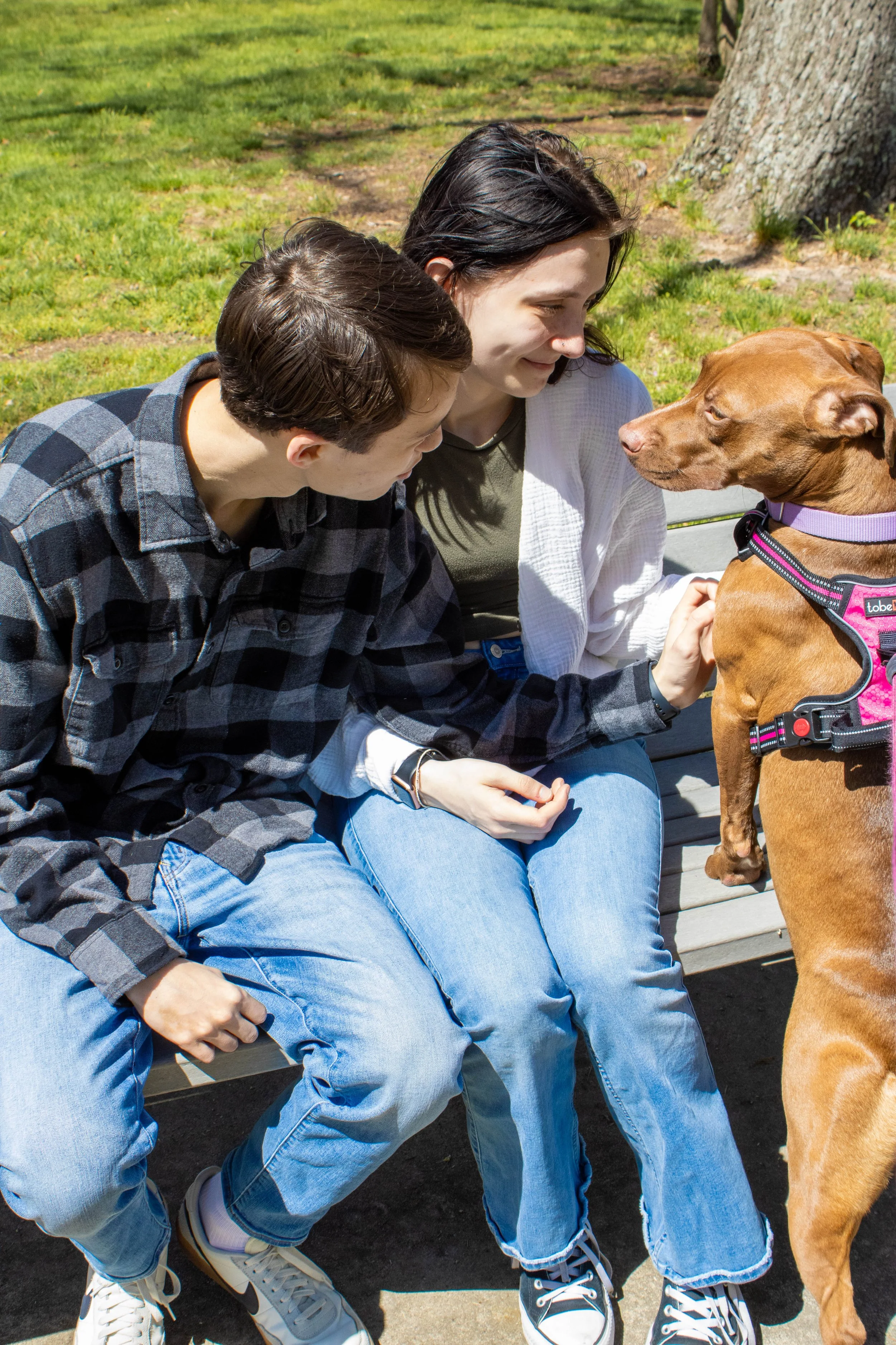 Family at the park with their pitbull dog at Fort Smallwood Park