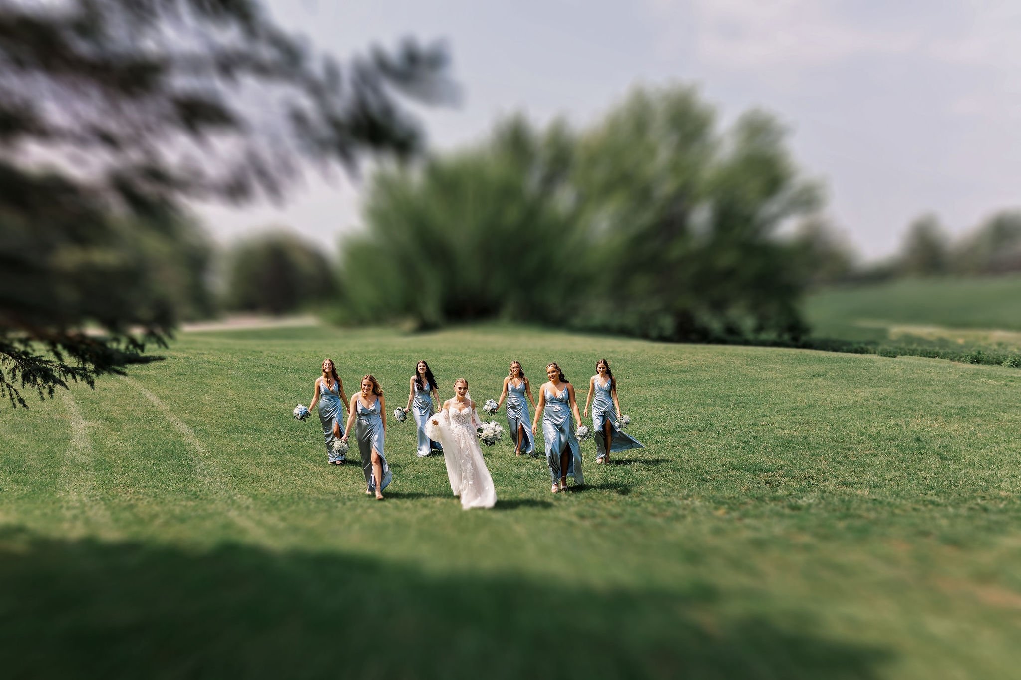 A bride and seven bridesmaids walking on a grassy field with trees in the background, with a tilt-shift effect focusing on them.
