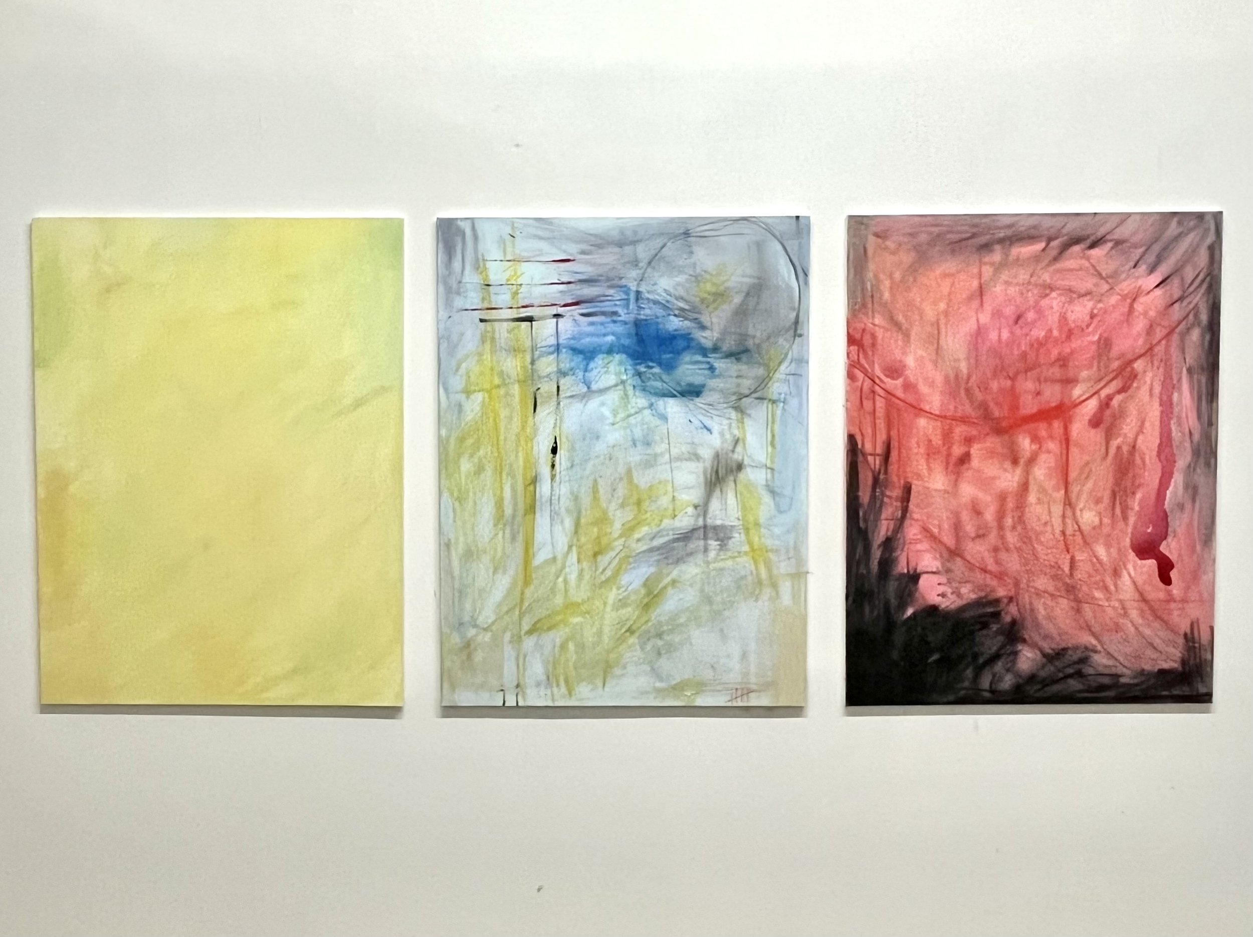 Going, going, gone. Acrylic, charcoal and printer ink on canvas (three panels of 36x48 each), 36" × 48" (91.44 × 121.92 cm)