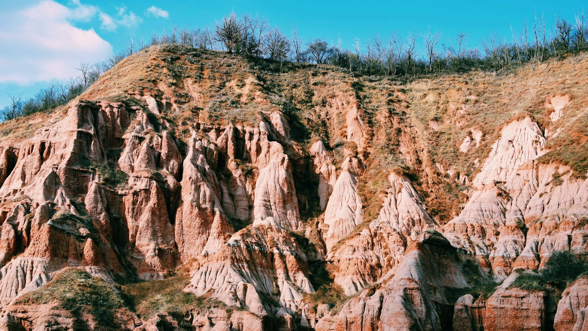  NATURE EXCURSIONS 