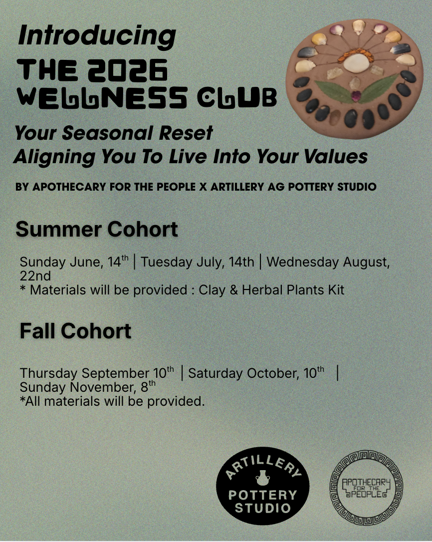 Seasonal Shifts in the San Francisco Pottery Studio 