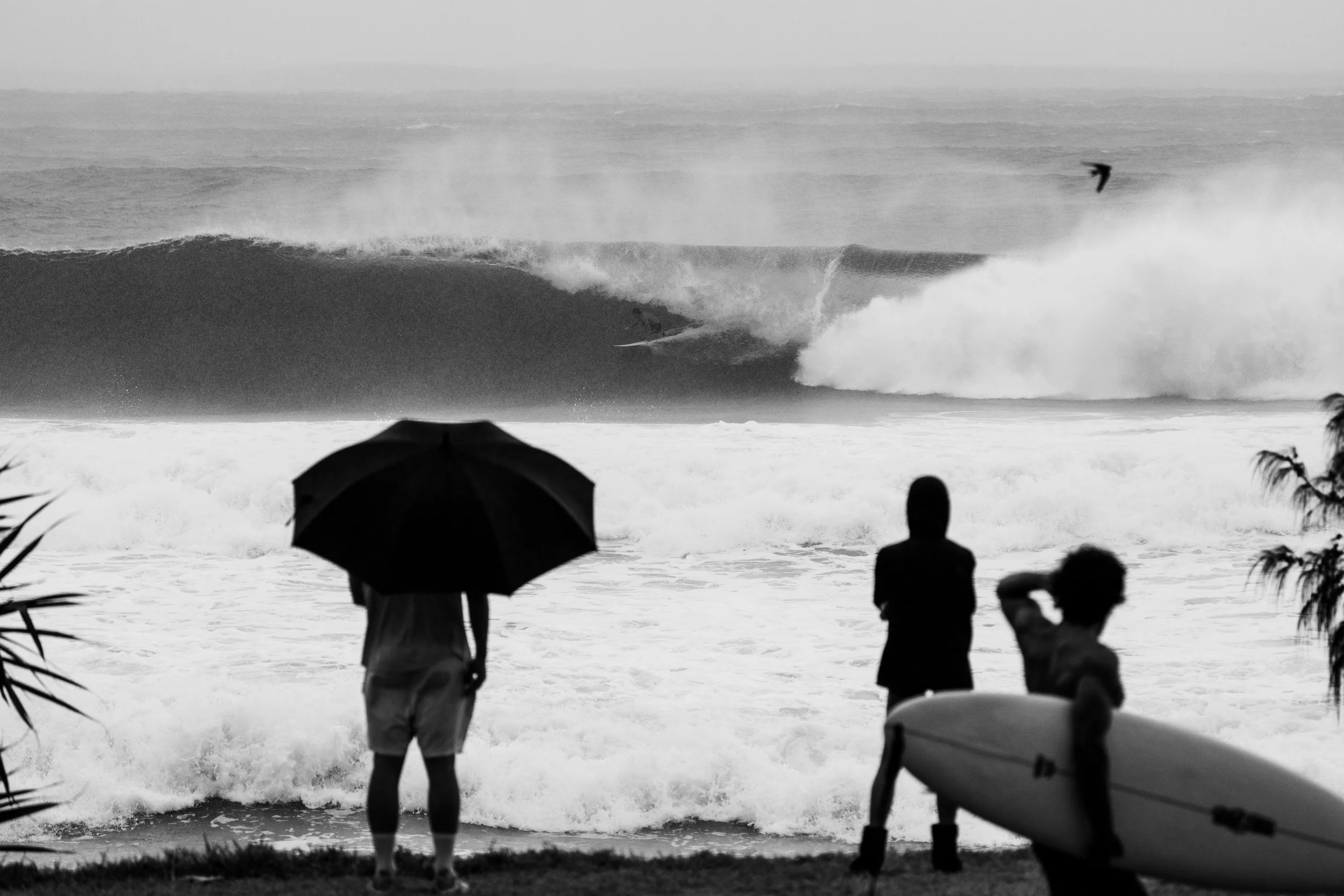 byron main alfred-46.jpg