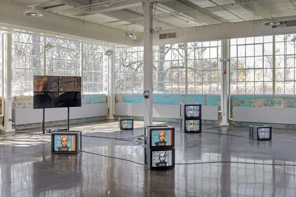 Timothy-Yanick-Hunter_Toronto Biennial of Art_2022.jpeg