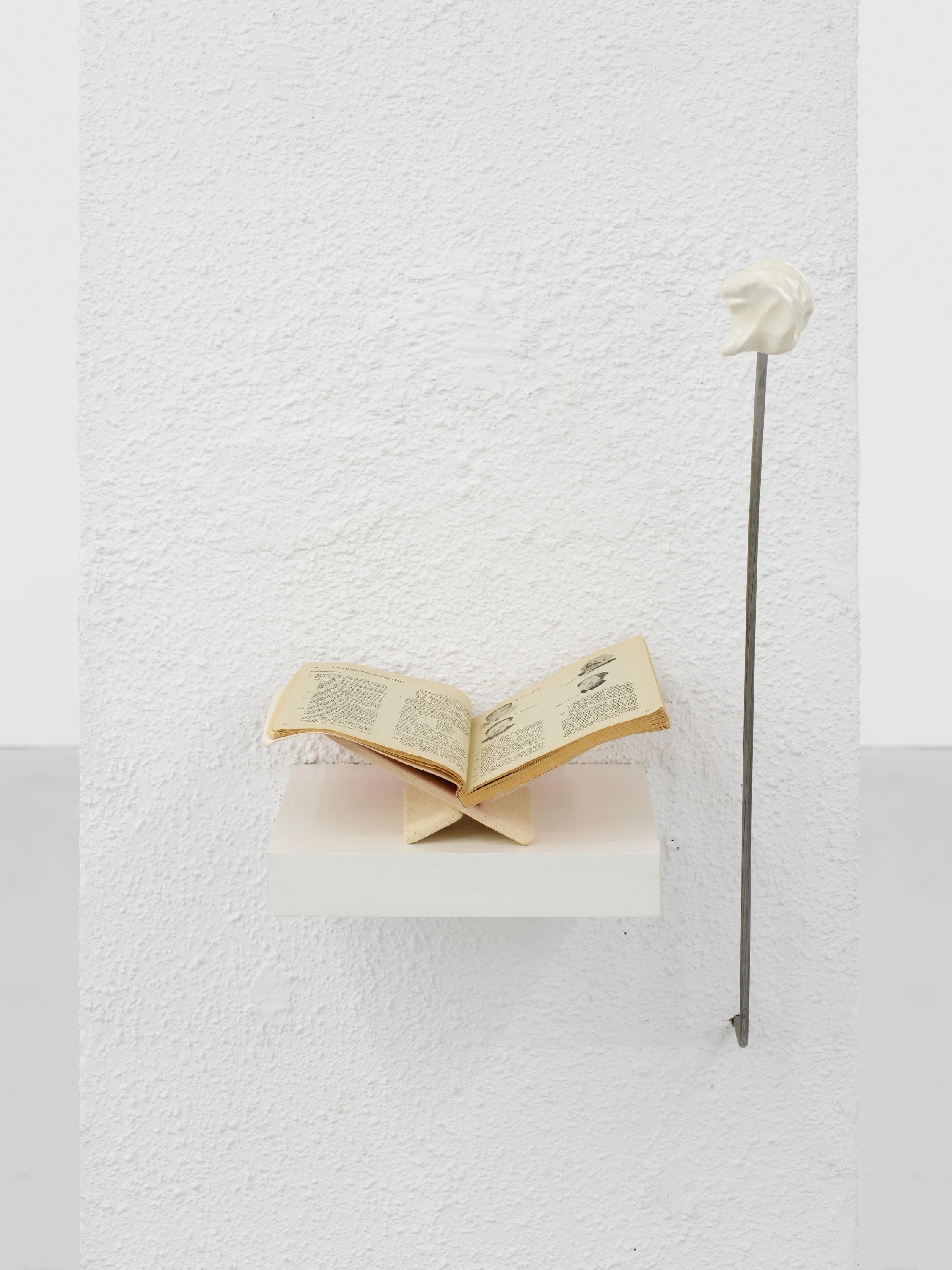 WhatsApp Image 2025-12-13 at 13.27.42 (2).jpeg