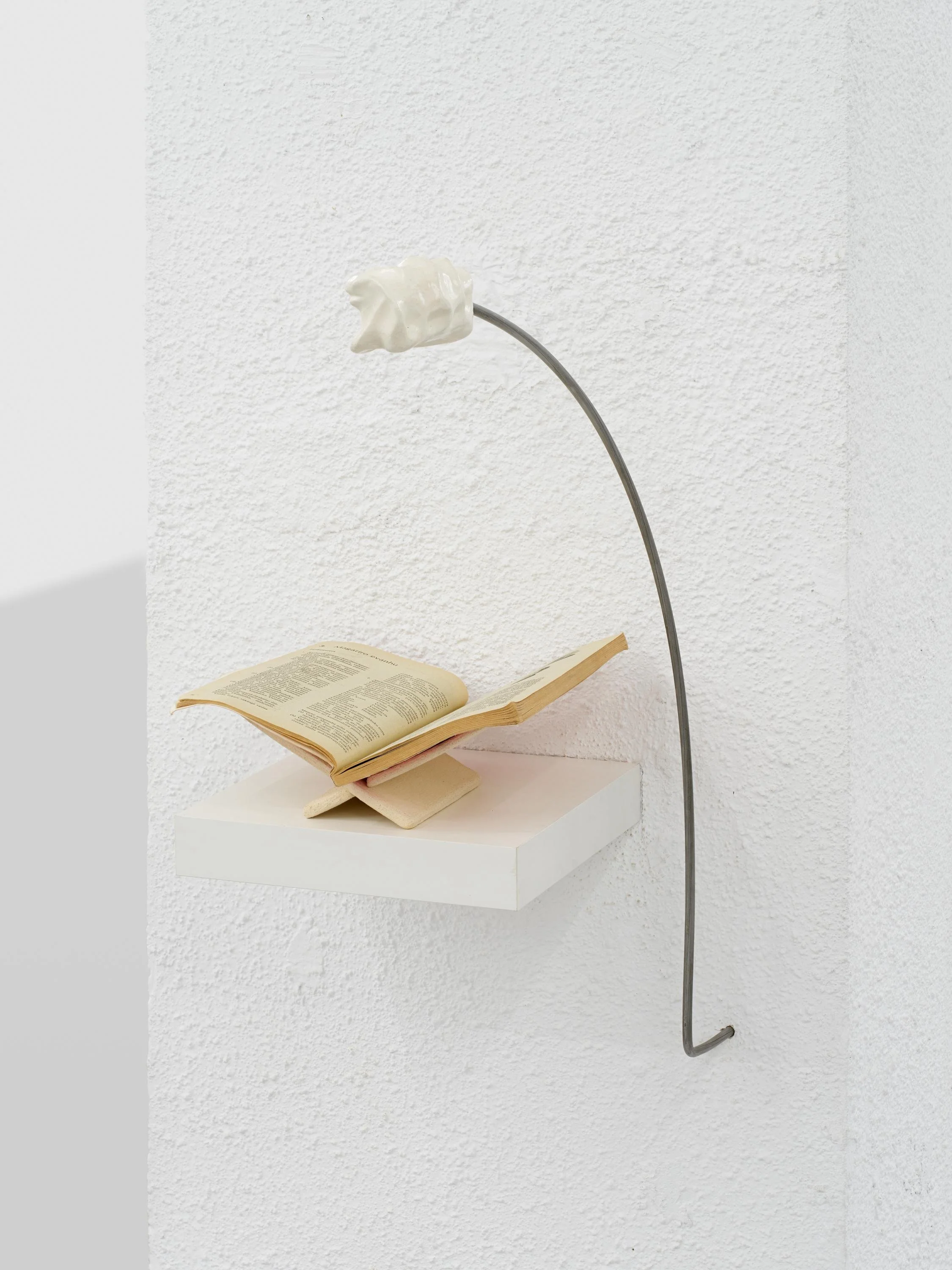 WhatsApp Image 2025-12-13 at 13.27.42 (1).jpeg