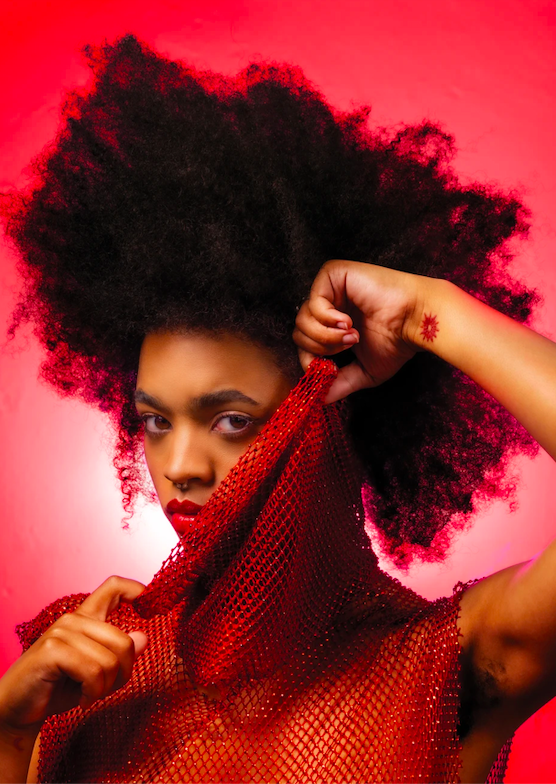 Screen Shot 2024-07-23 at 12.31.45 AM.png