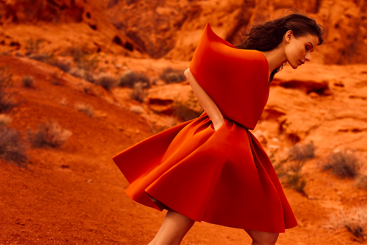 Screen Shot 2024-04-20 at 12.00.56 AM.png