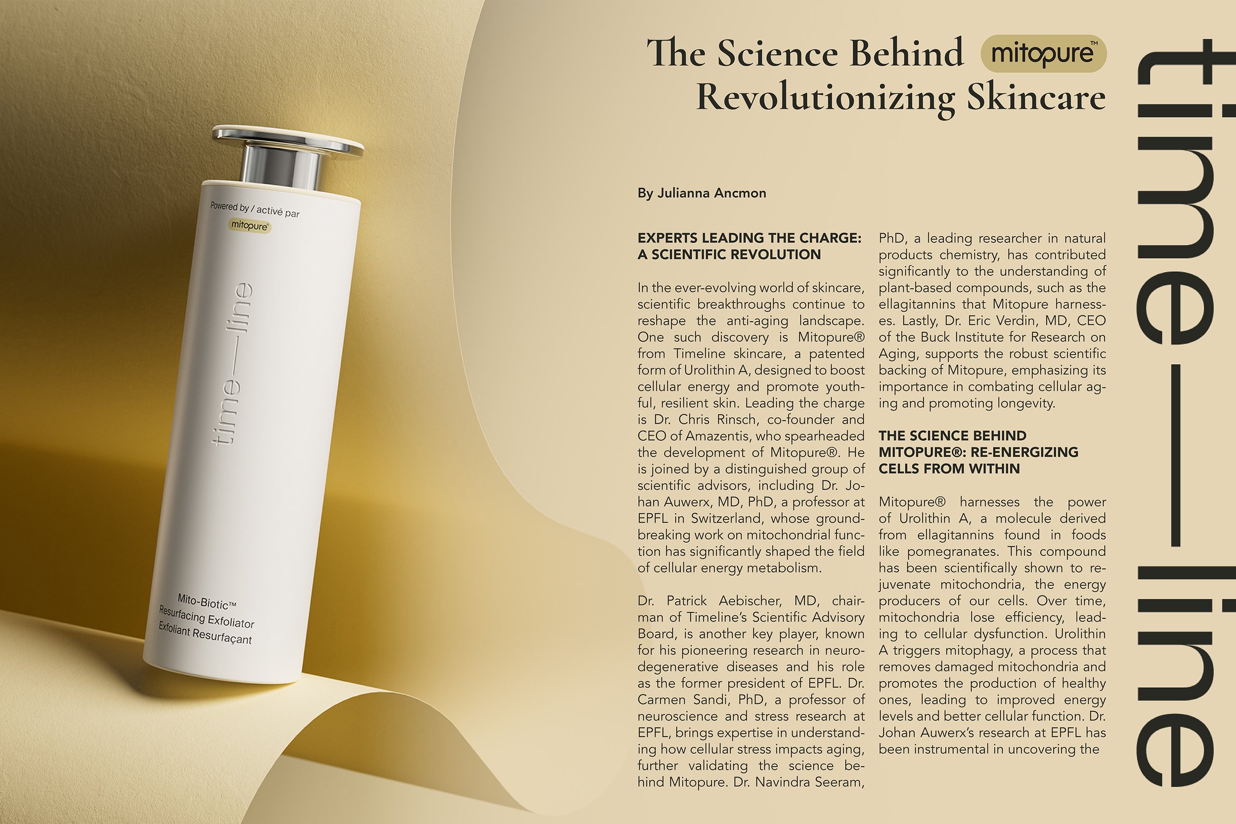 Timeline spreads.jpg