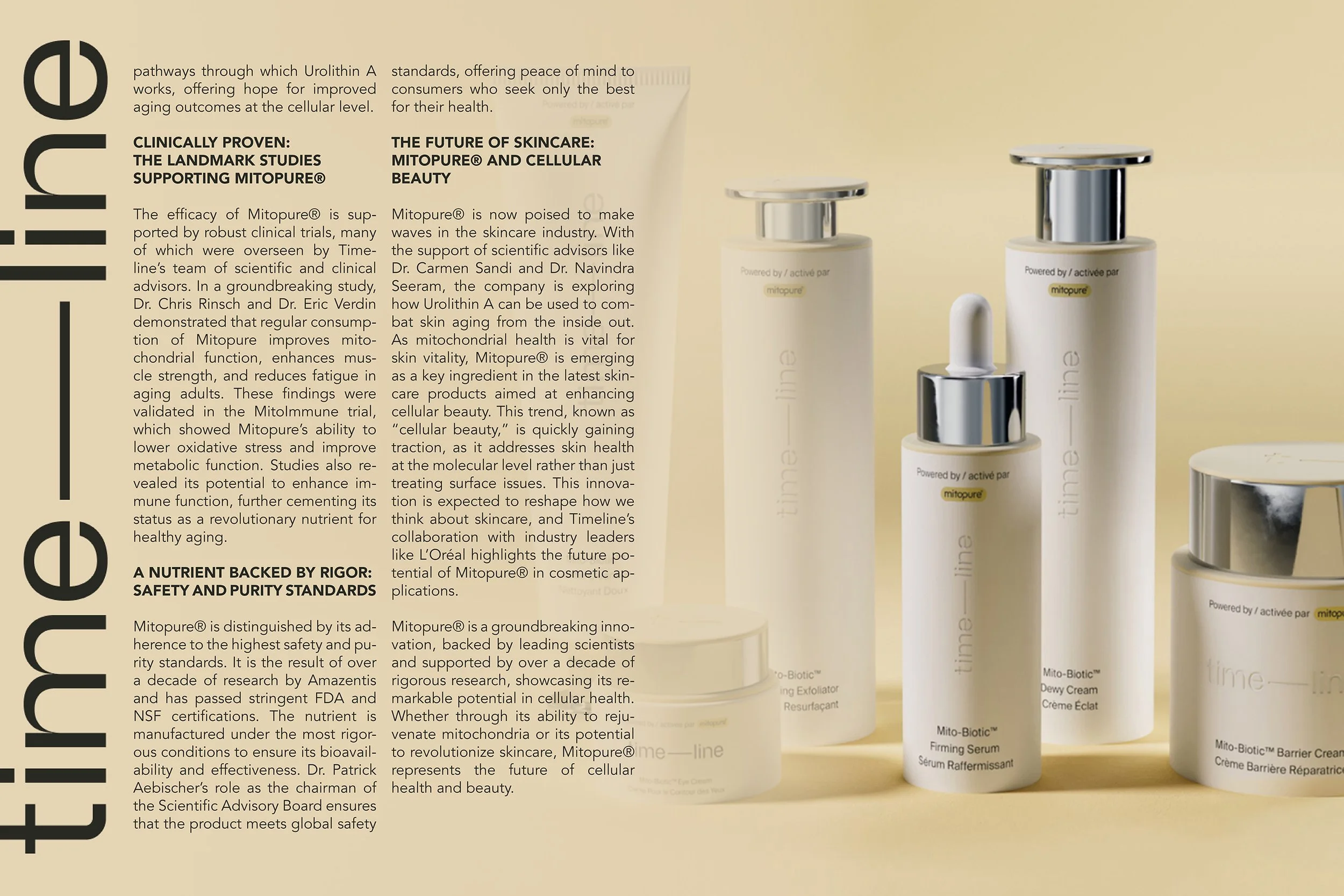 Timeline spreads2.jpg