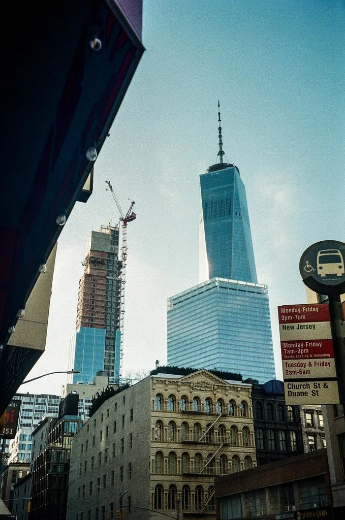 49453184007_cfaa273d79_b.jpg