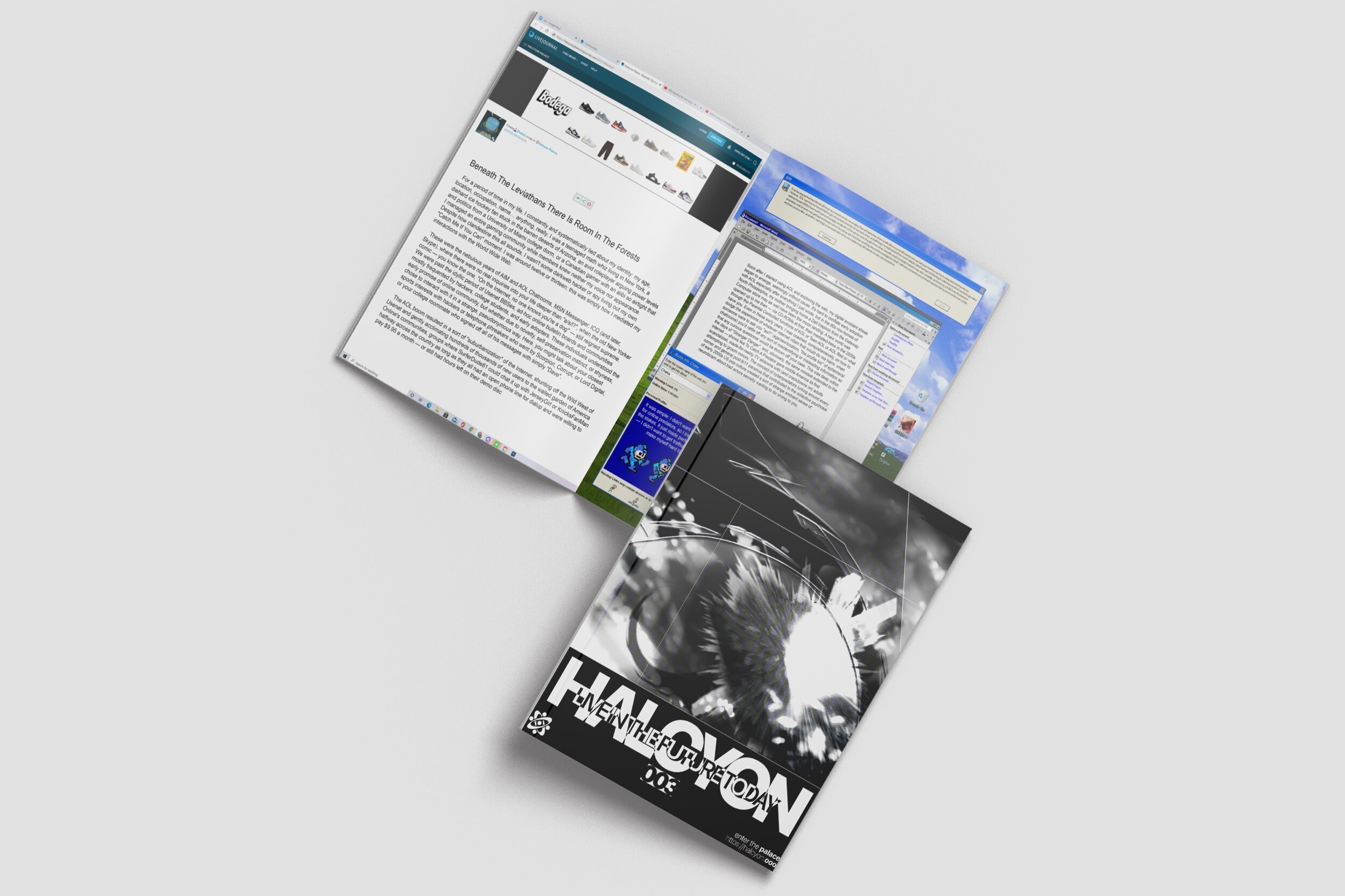 halcyon.jpg