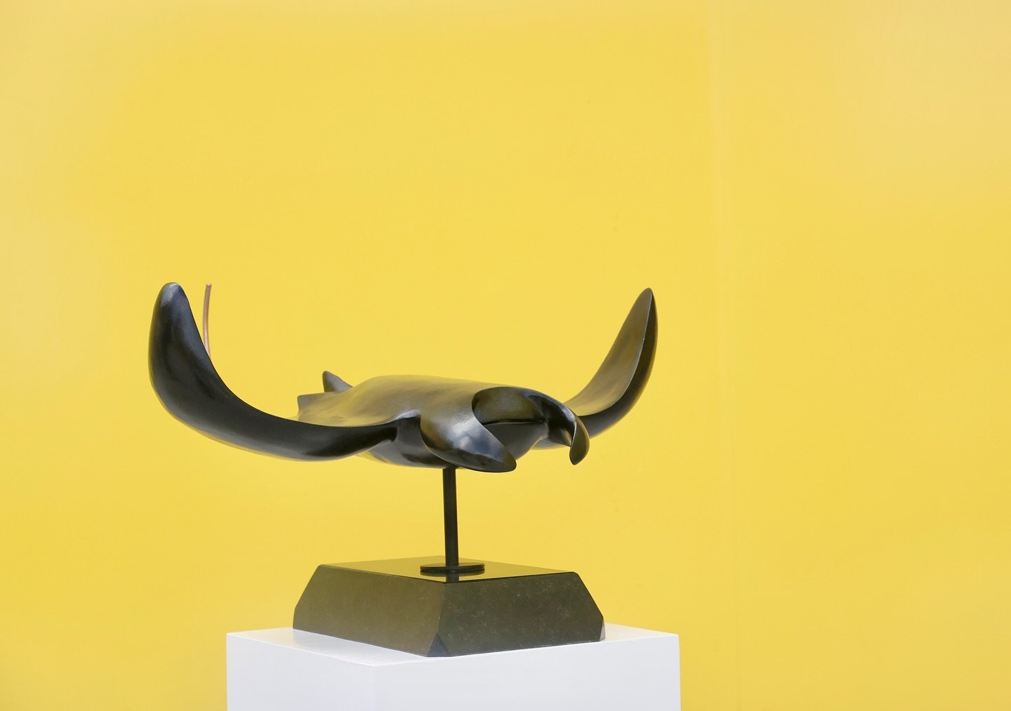 &lsquo;The Springstone Manta&rsquo; one of my marine series. I am very pleased to say this piece was sold at the recent @artintheparknz exhibition. Mounted on a granite base with a proud golden steel tail, this sculpture will spend the rest of its da