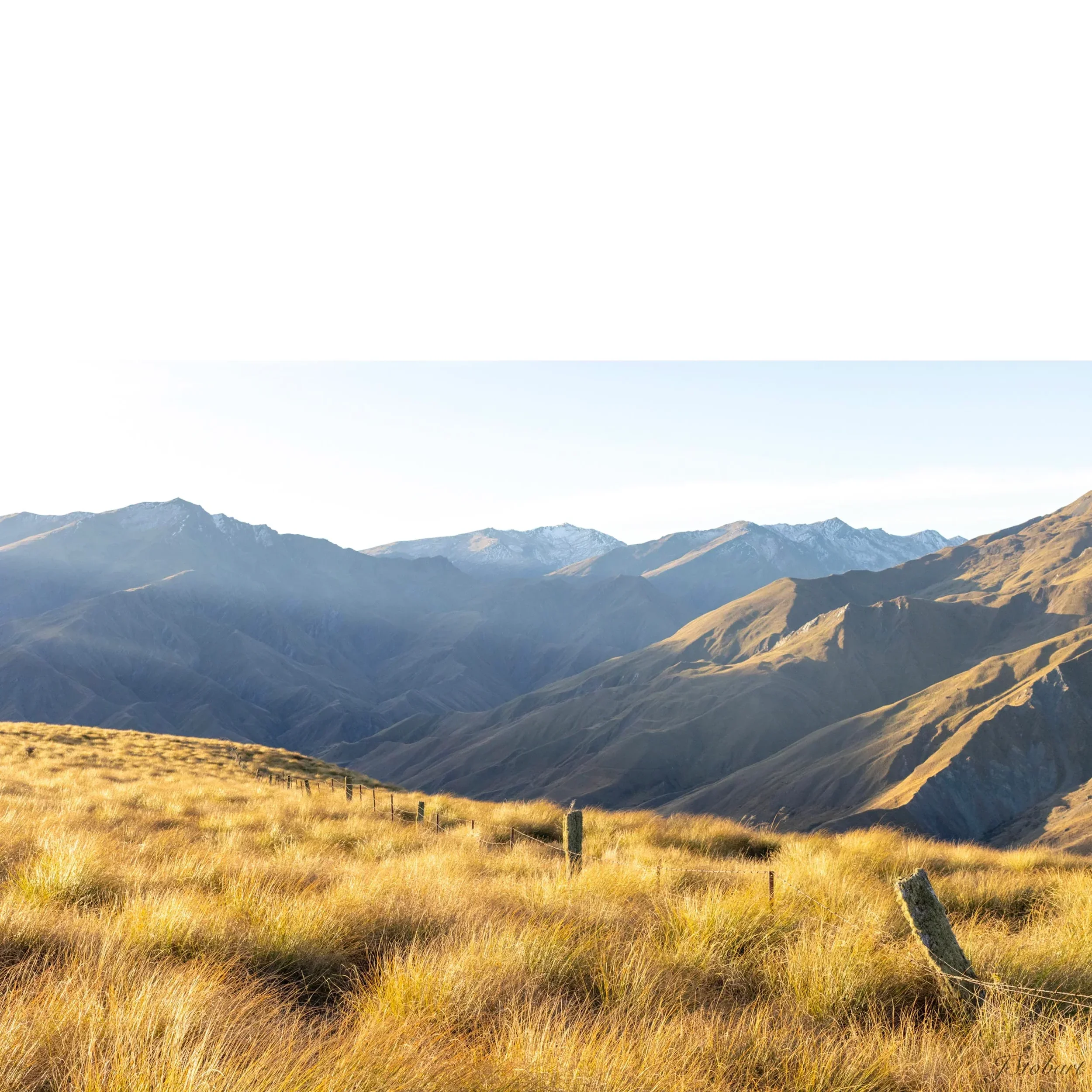 BrowPeak.webp