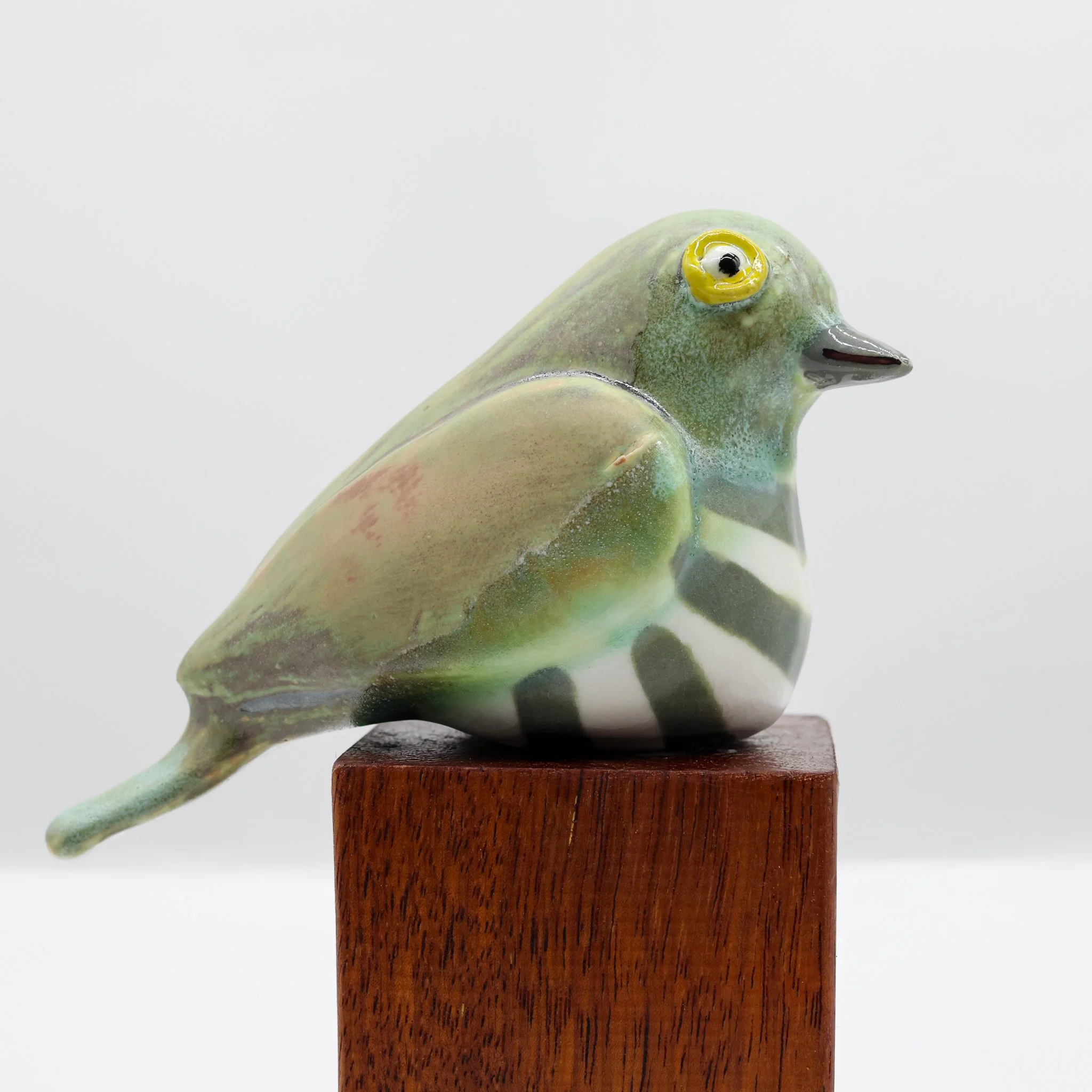 Pīpīwharauroa | Shining Cuckoo