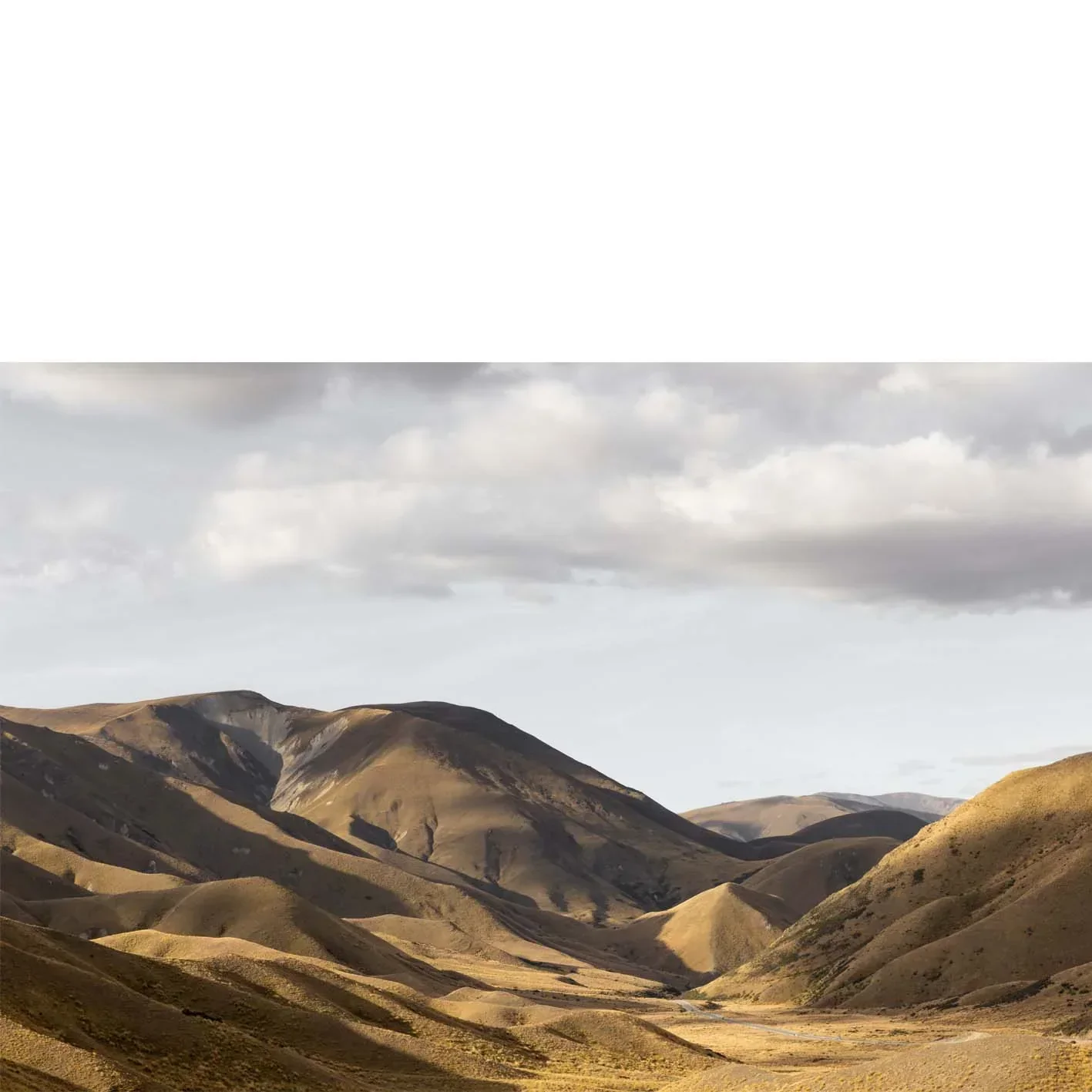 adsfopycopy.webp