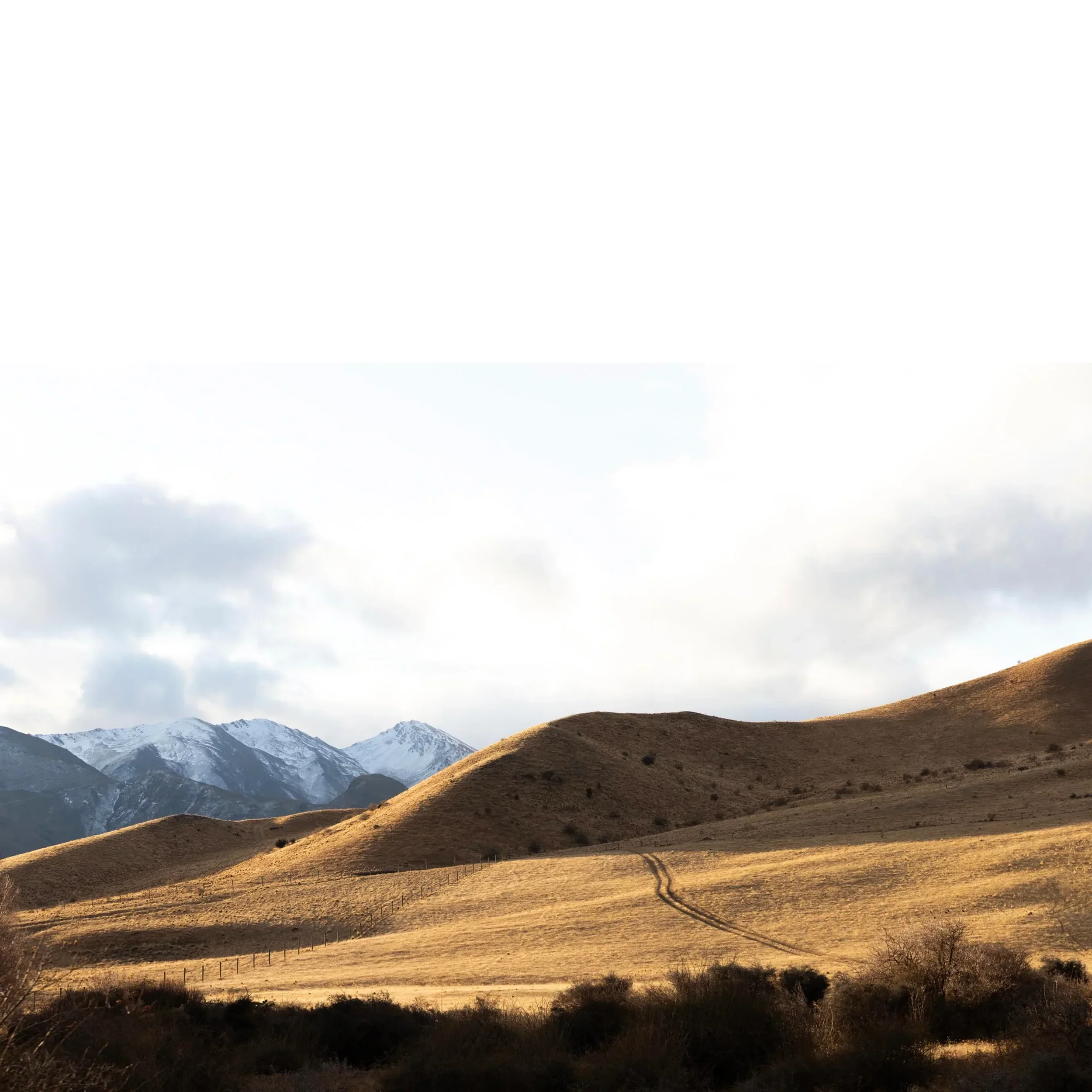 Farmtracks.webp