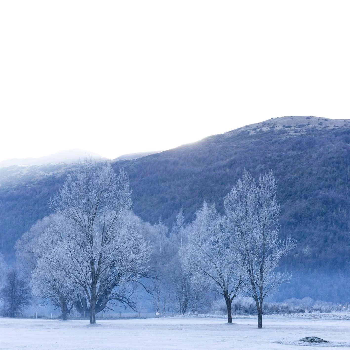 ArrowtownWinter.jpg