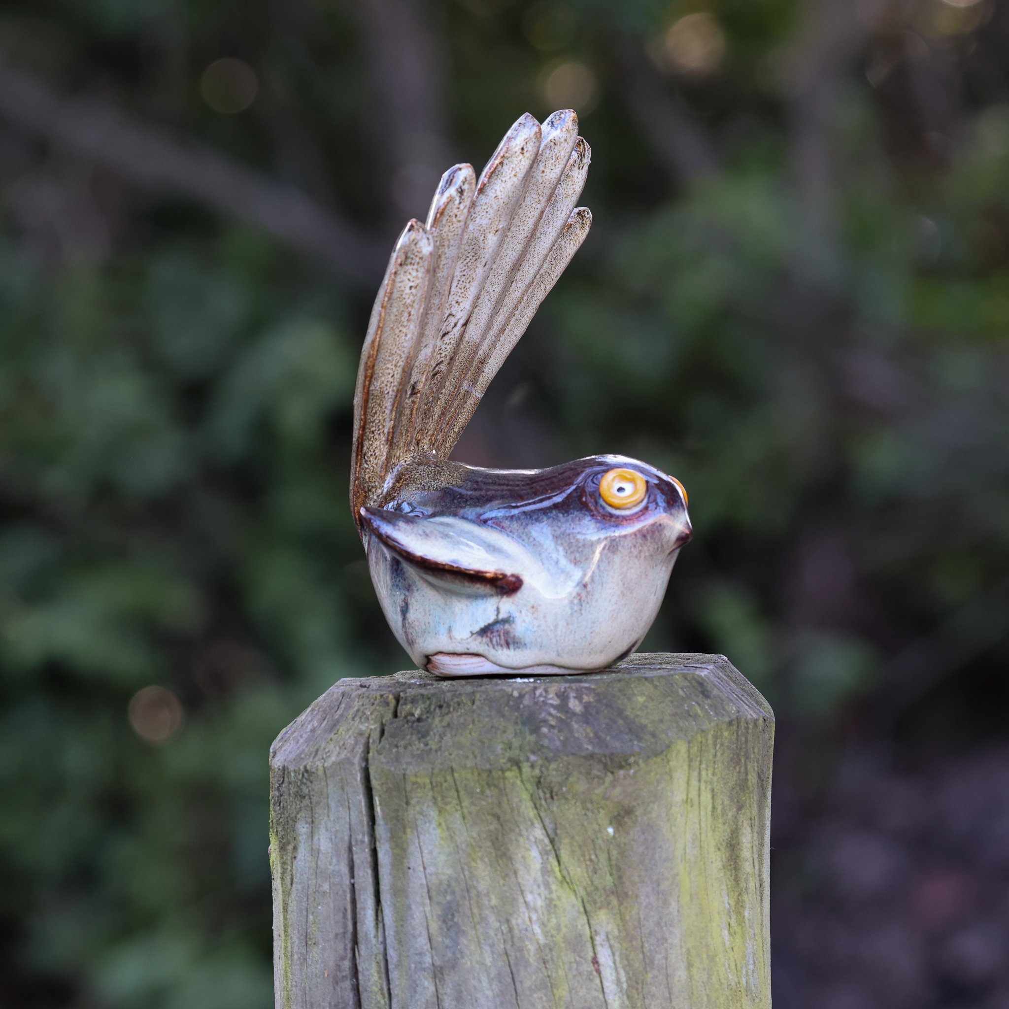 Pīwakawaka | Fantail