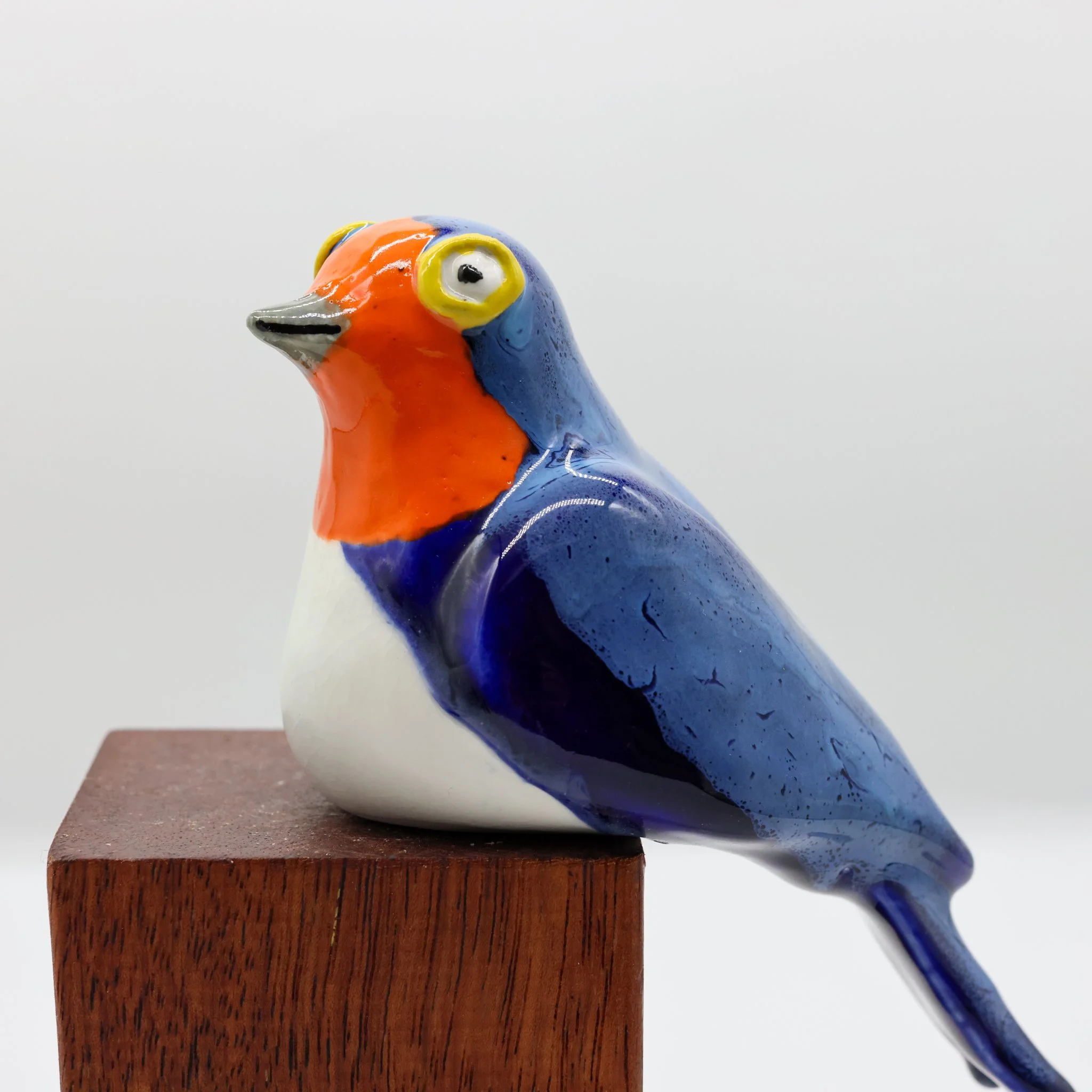 Warou | Welcome Swallow