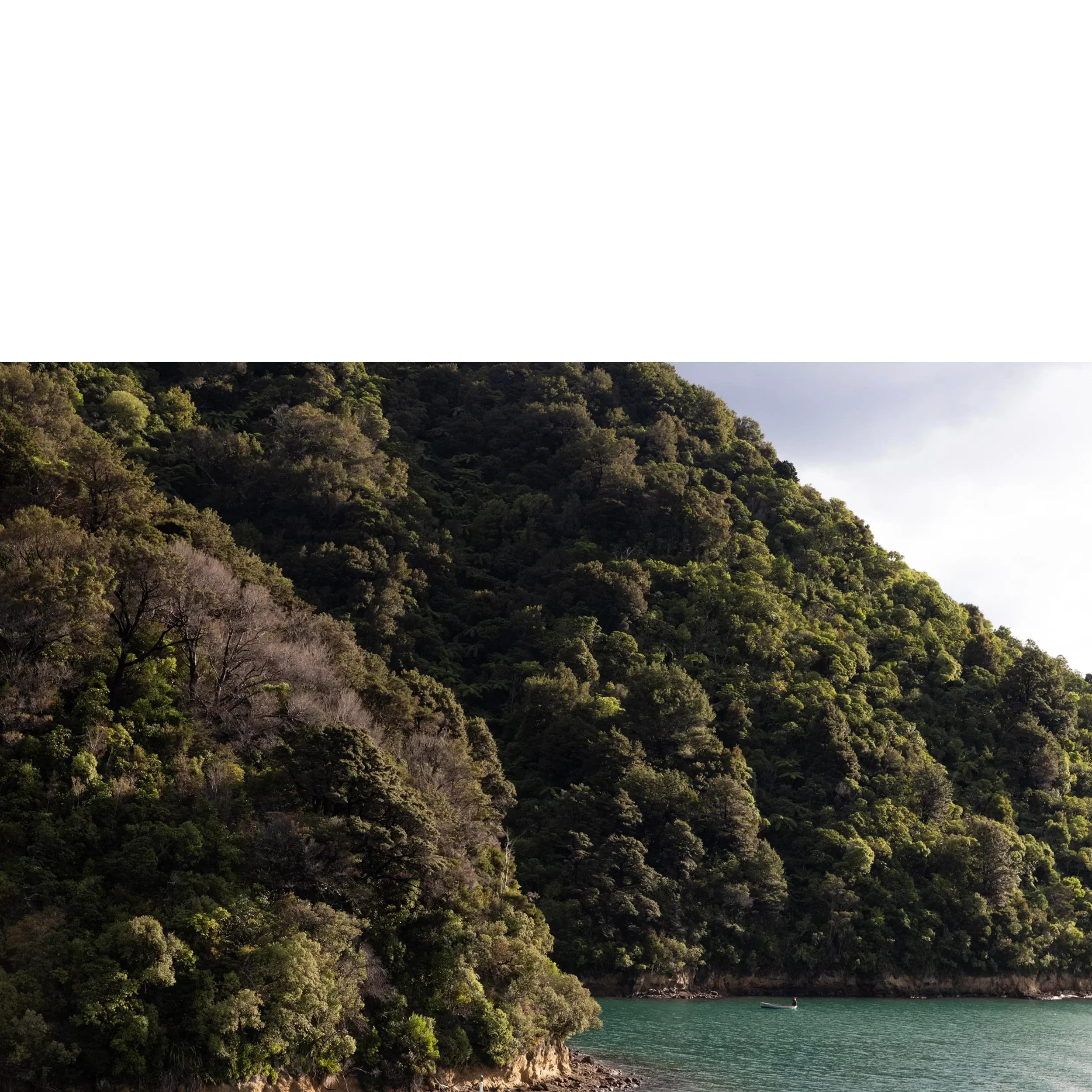 TheFisherman_jpg.webp
