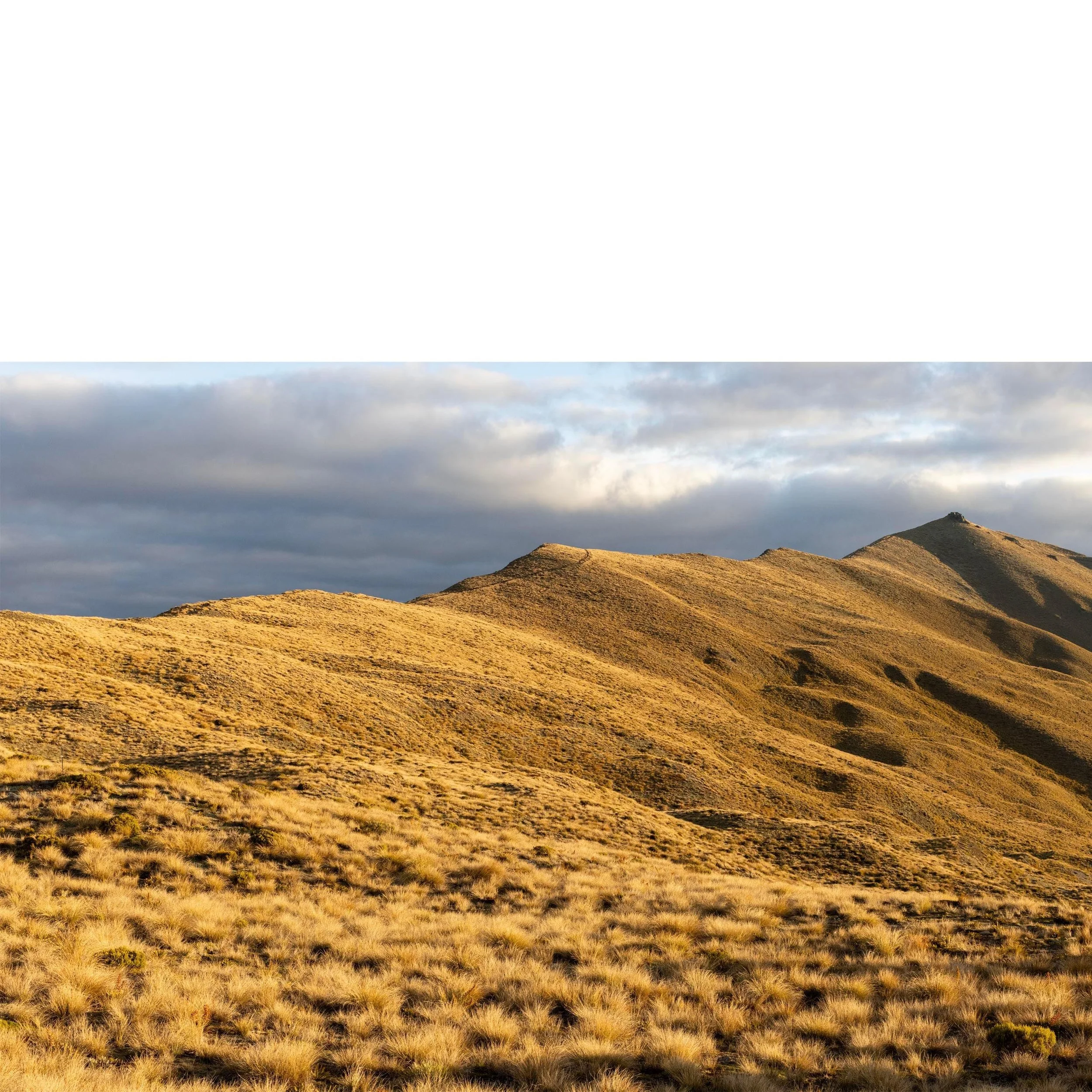 Cardrona Ridgeline