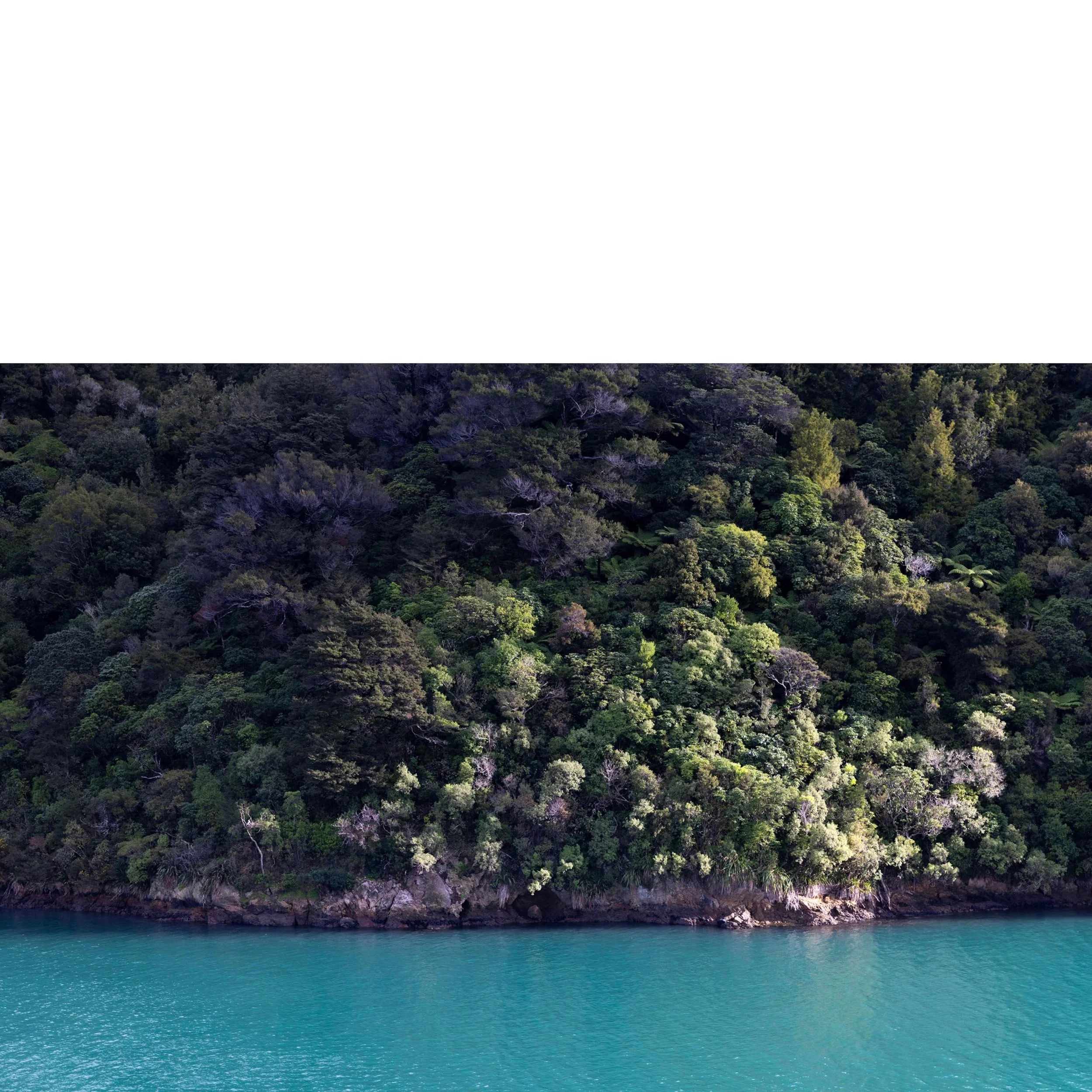 Marlborough Shoreline