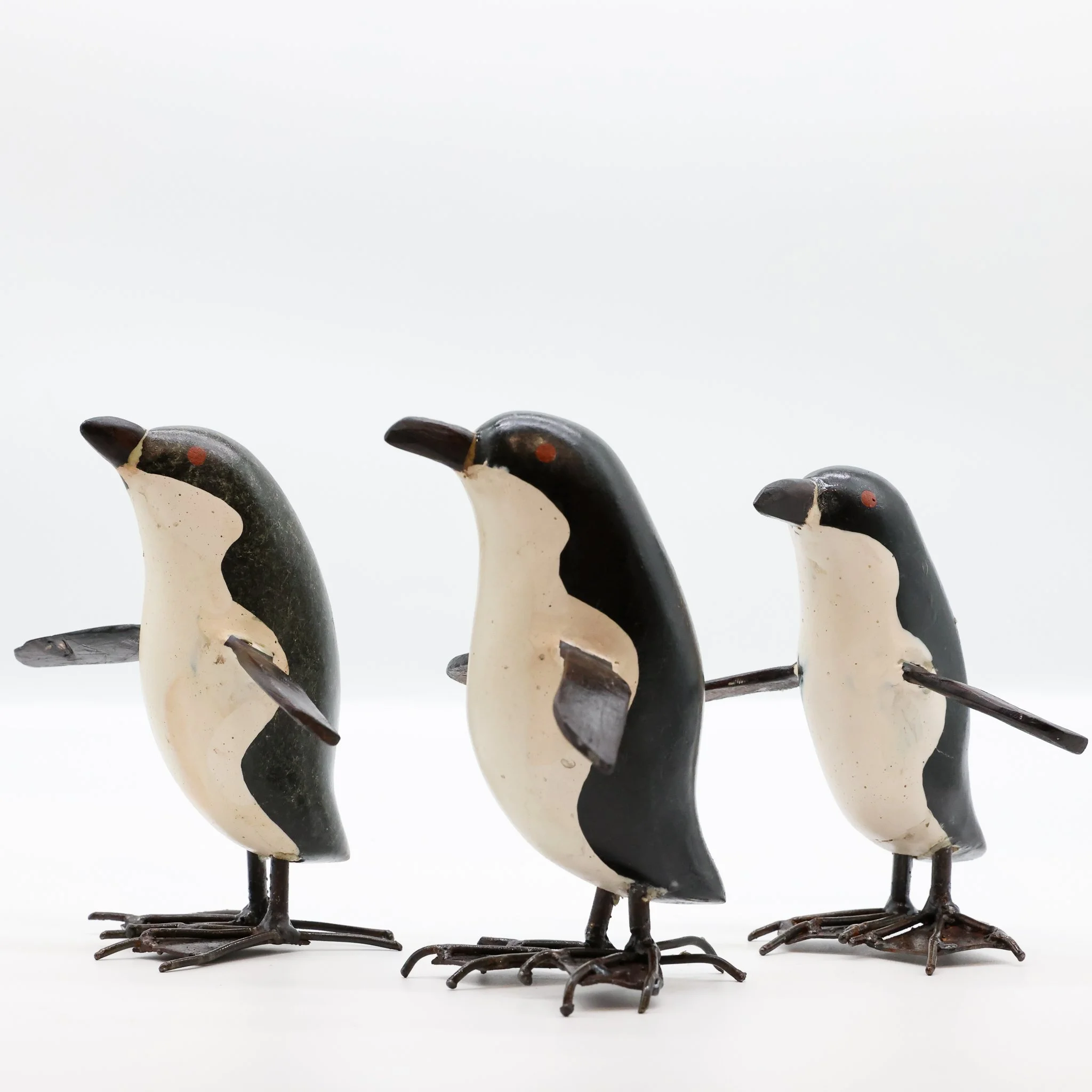 Penguin | Kororā