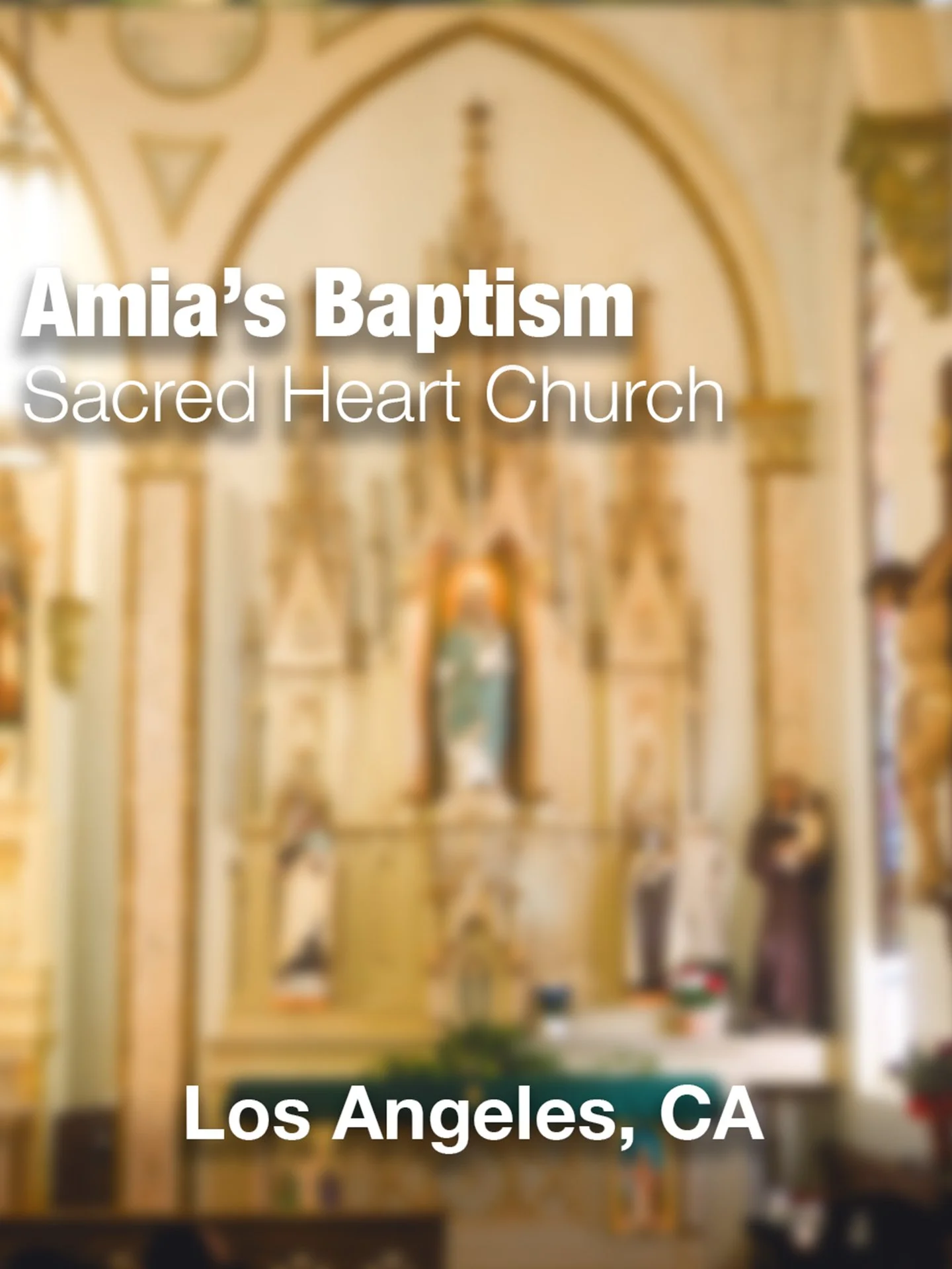 thunbmail file copy.jpg