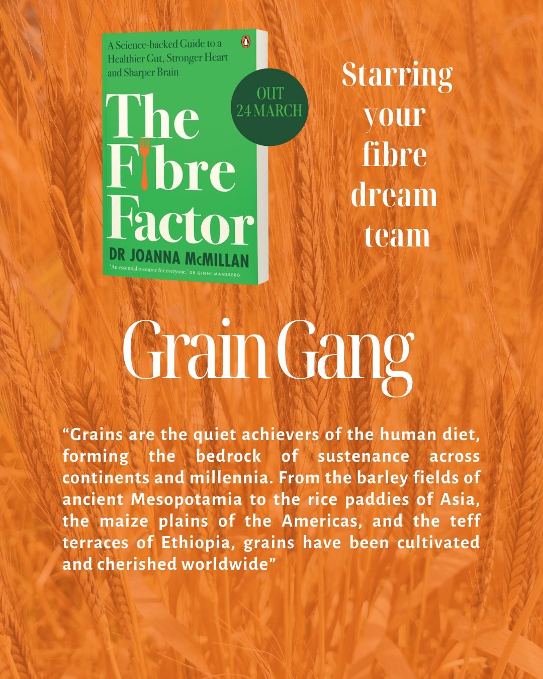 Meet the Fibre Dream Team 🌟

If fibre were a superhero franchise, these would be your five headline acts.

🌾 The Grain Gang &ndash; bringing beta-glucans, resistant starch and wholegrain magic for heart health, blood sugar balance and a thriving mi