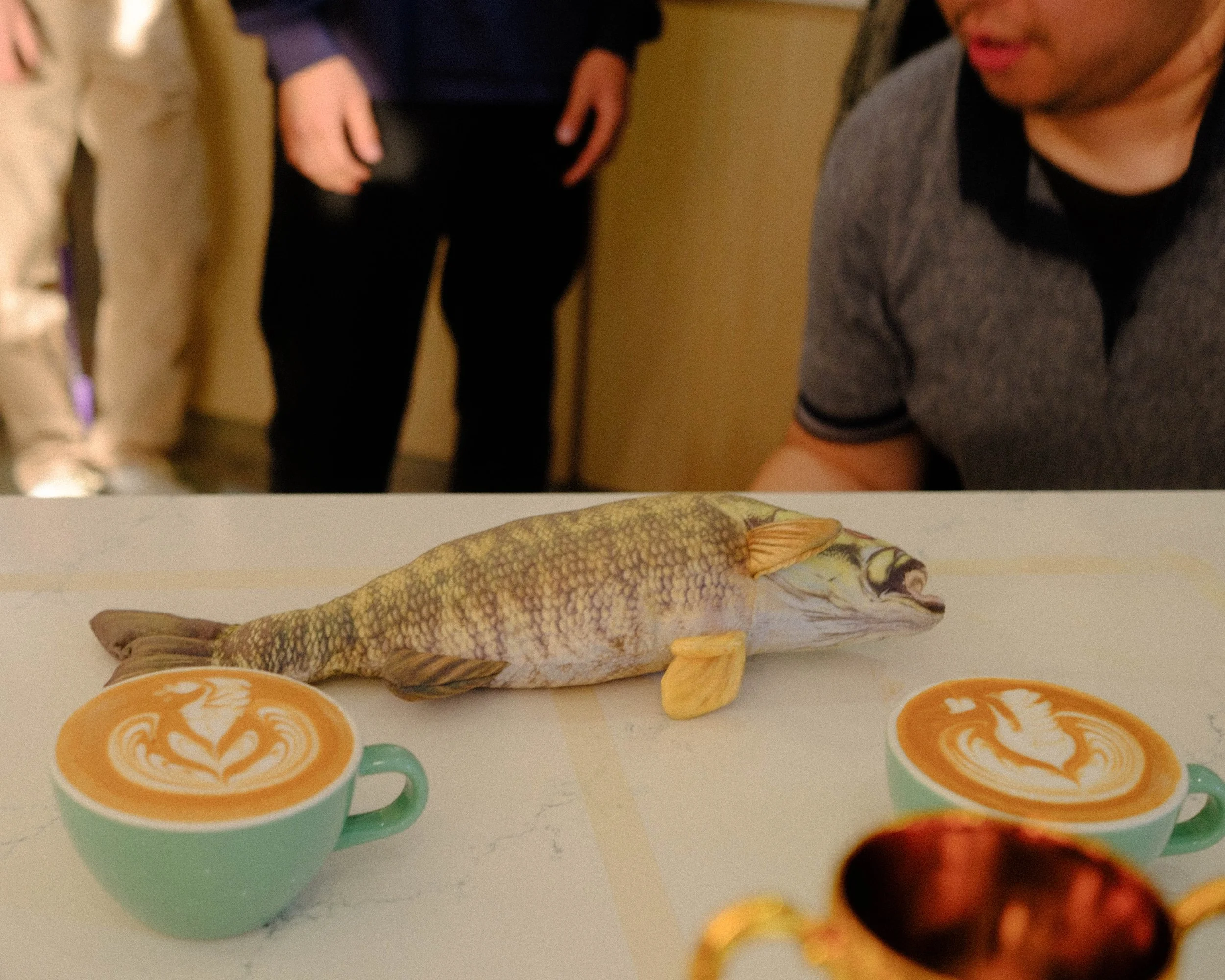 DSCF9638.JPG