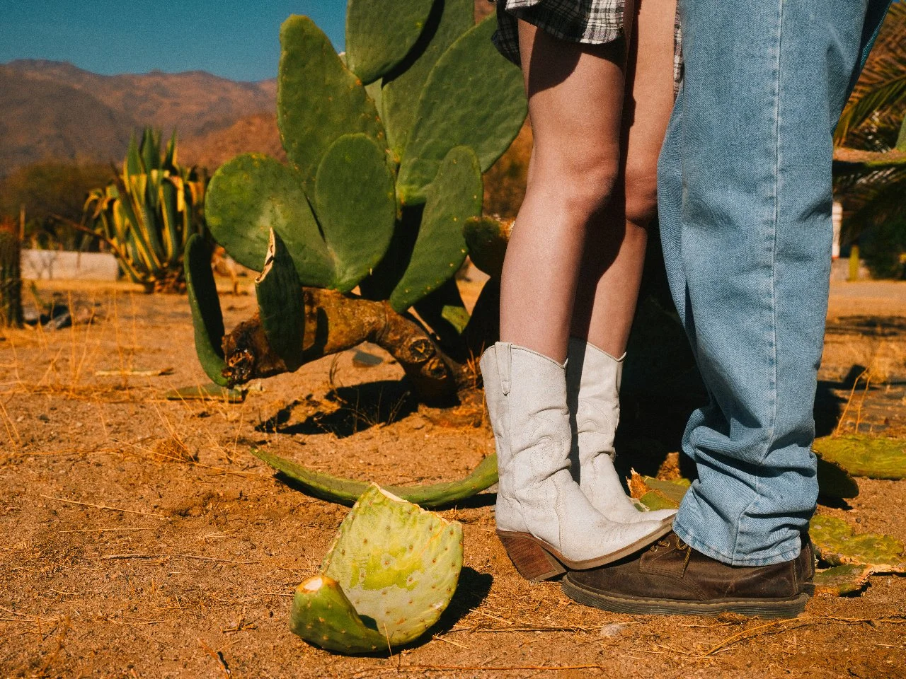 cowboy boots , cactus and desert