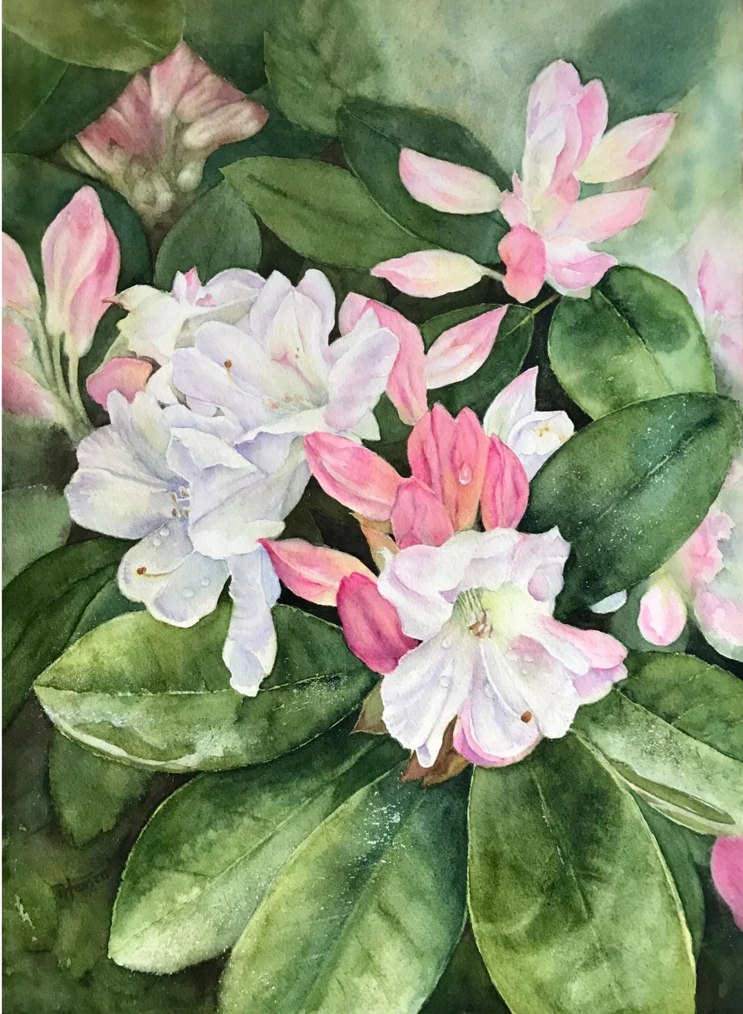 Innocence

watercolor
15 x 11"

Cdn $500
