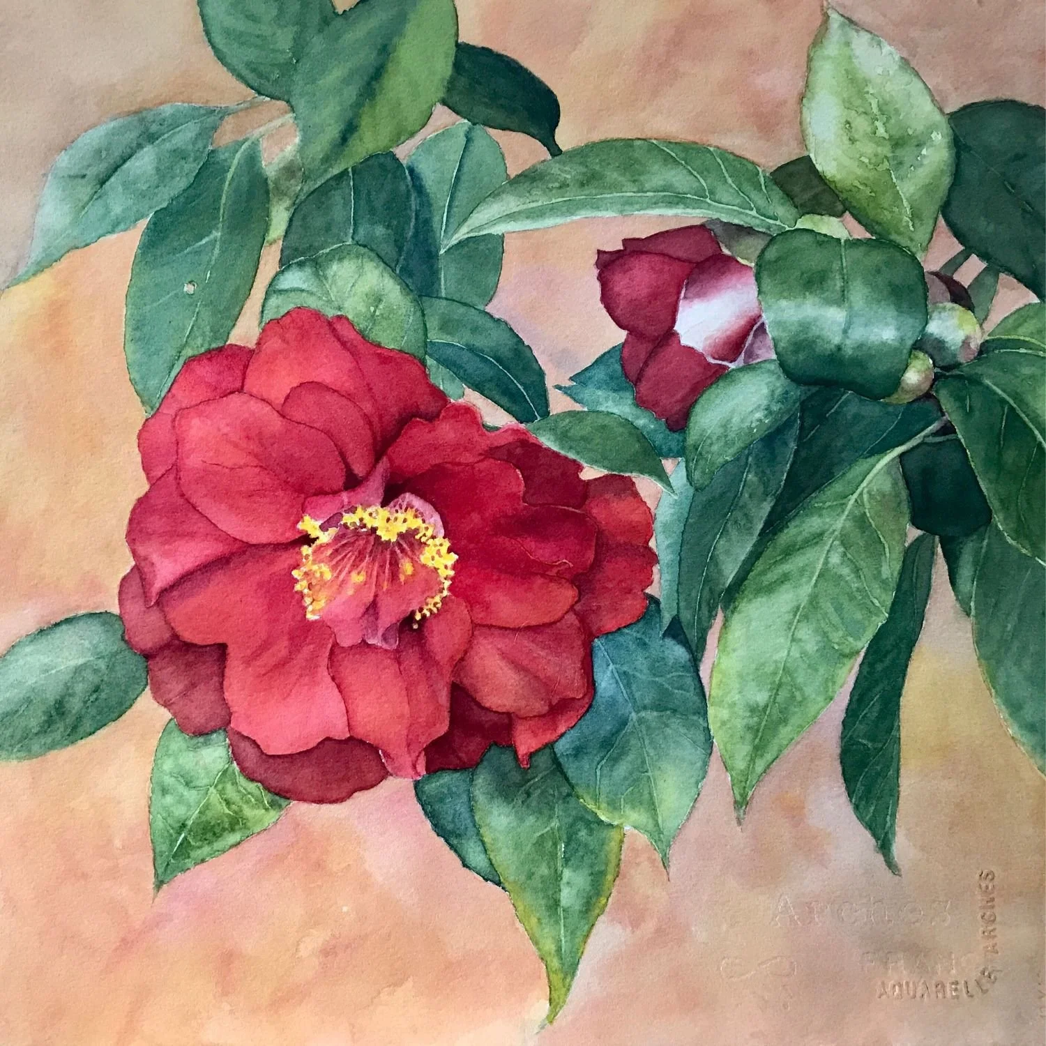 Passion

watercolor
12 x 12"

Cdn $300