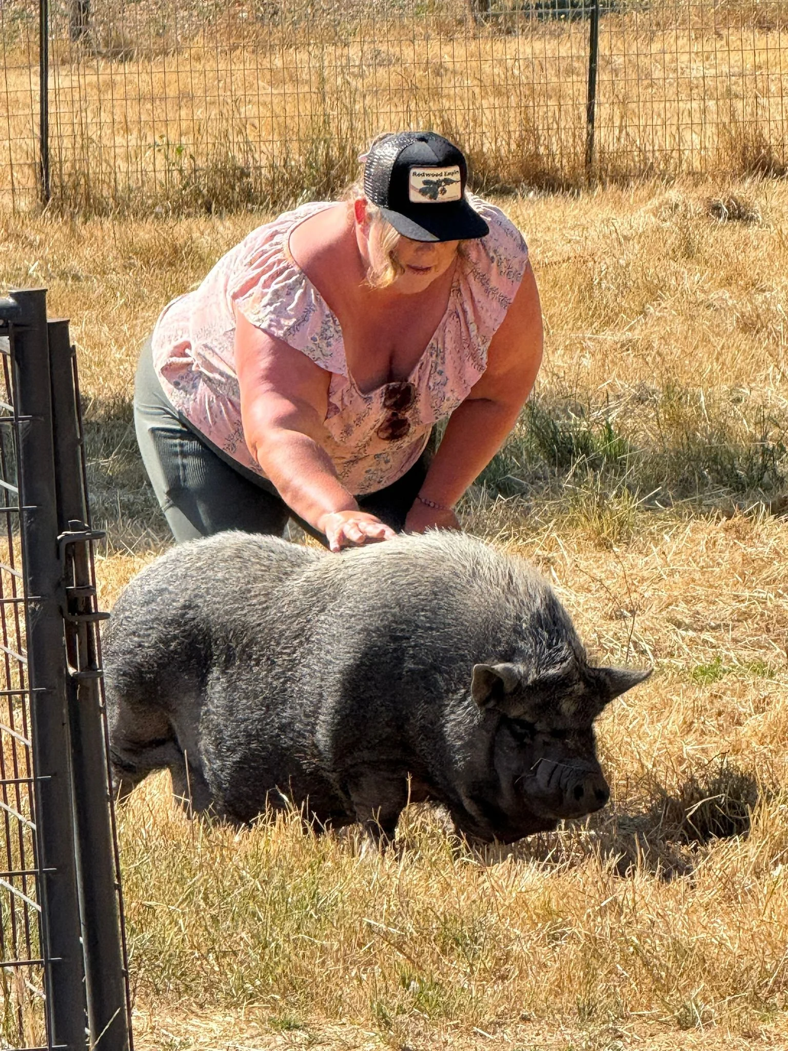 WhatsApp Image 2025-06-26 at 10.42.06 AM-2.jpeg