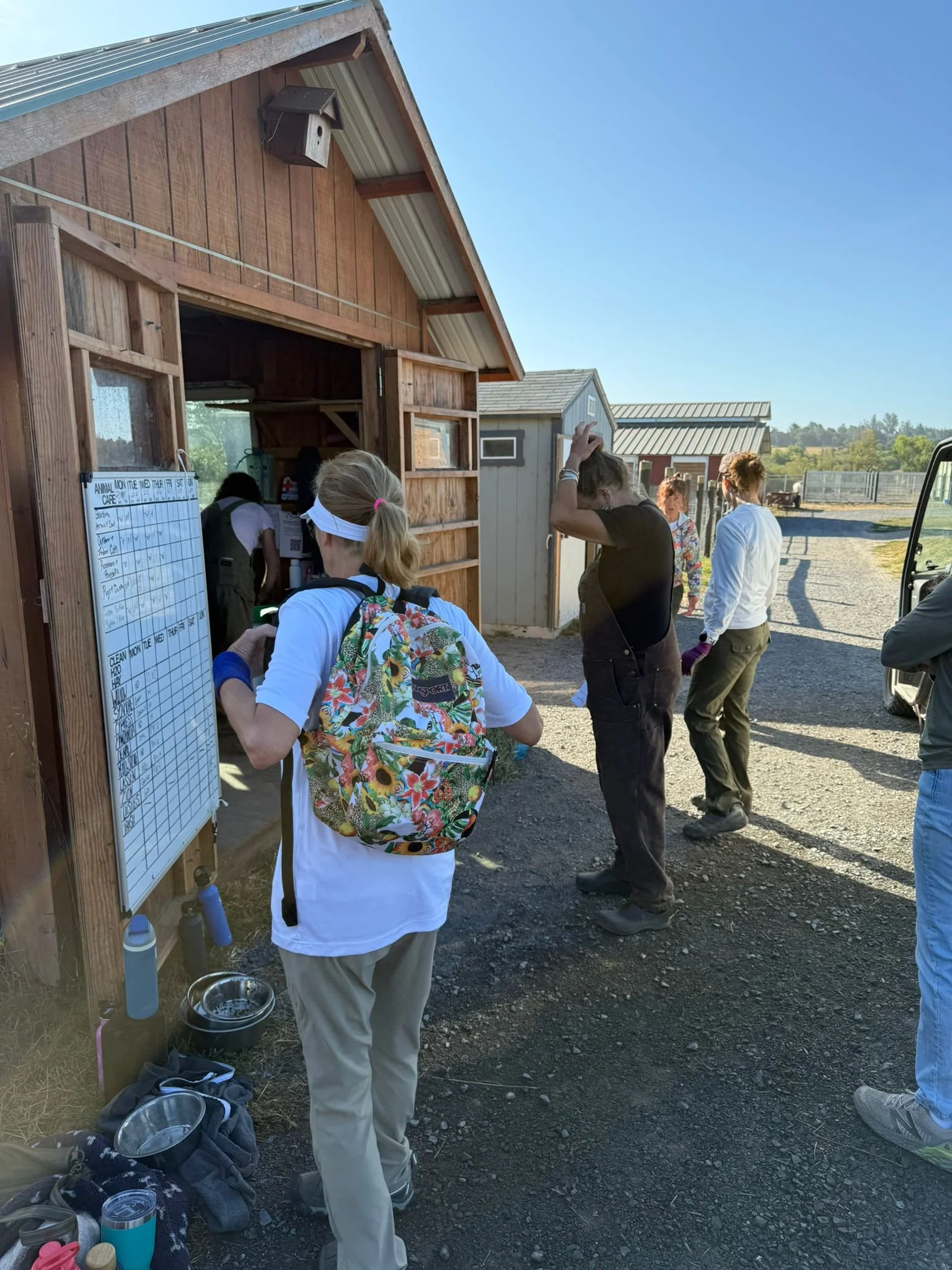 WhatsApp Image 2025-06-26 at 10.41.59 AM.jpeg