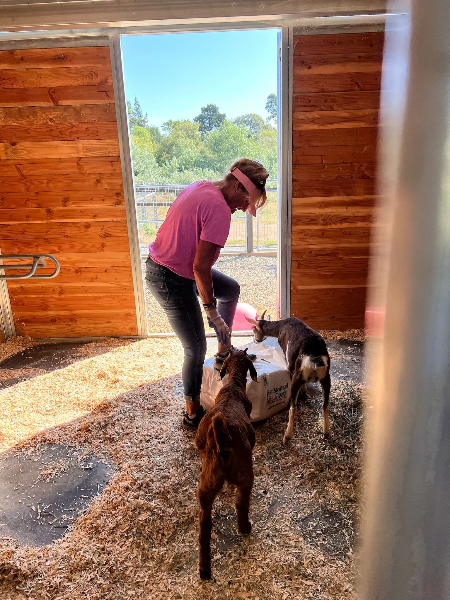 WhatsApp Image 2025-06-26 at 12.52.39 PM.jpeg