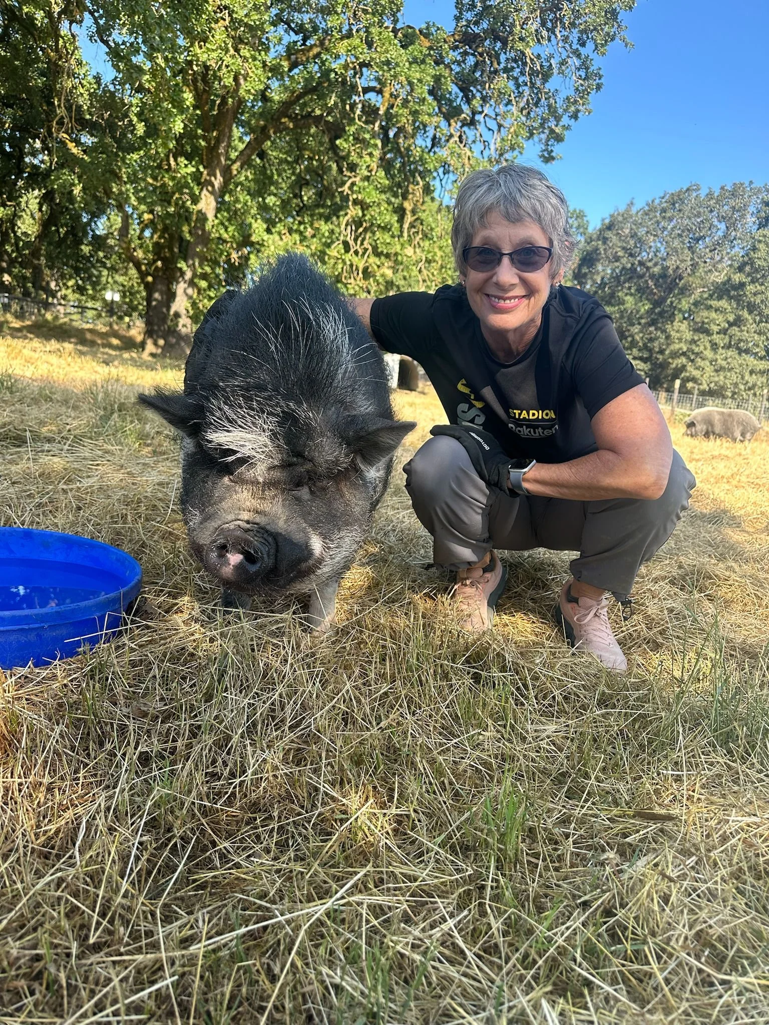 WhatsApp Image 2025-06-26 at 6.56.24 PM-4.jpeg