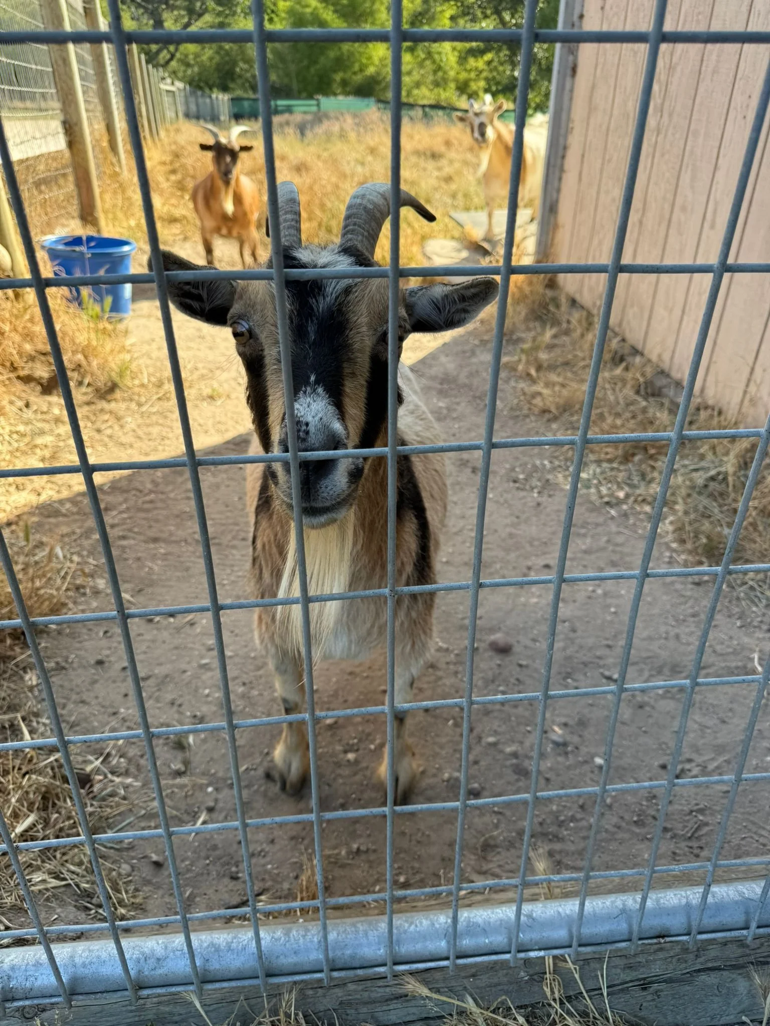 WhatsApp Image 2025-06-26 at 10.42.01 AM.jpeg