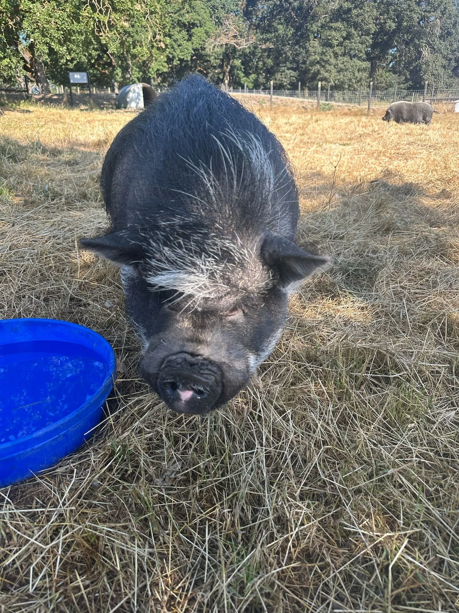 WhatsApp Image 2025-06-26 at 6.56.24 PM-5.jpeg