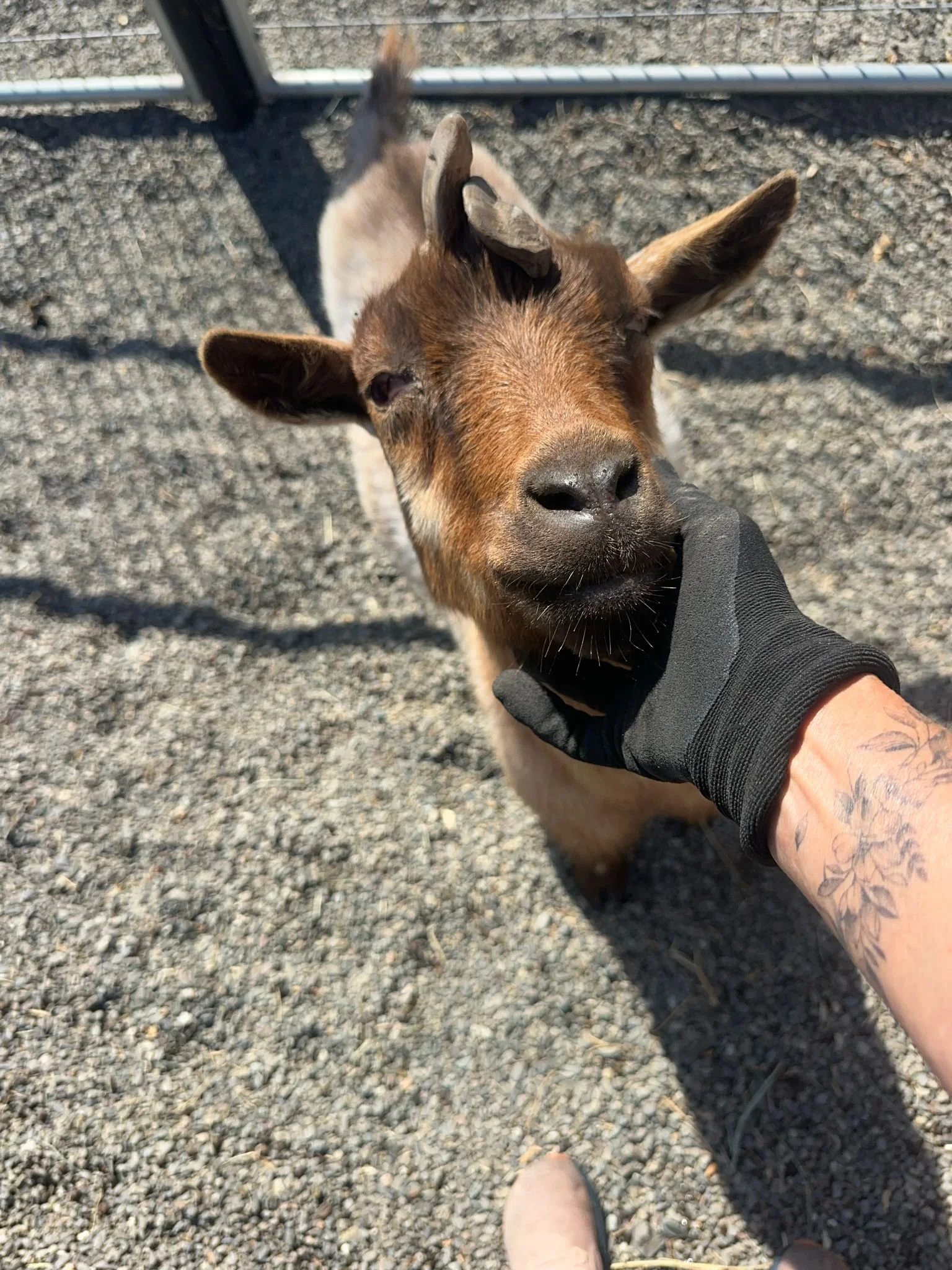 WhatsApp Image 2025-06-26 at 6.56.23 PM-2.jpeg