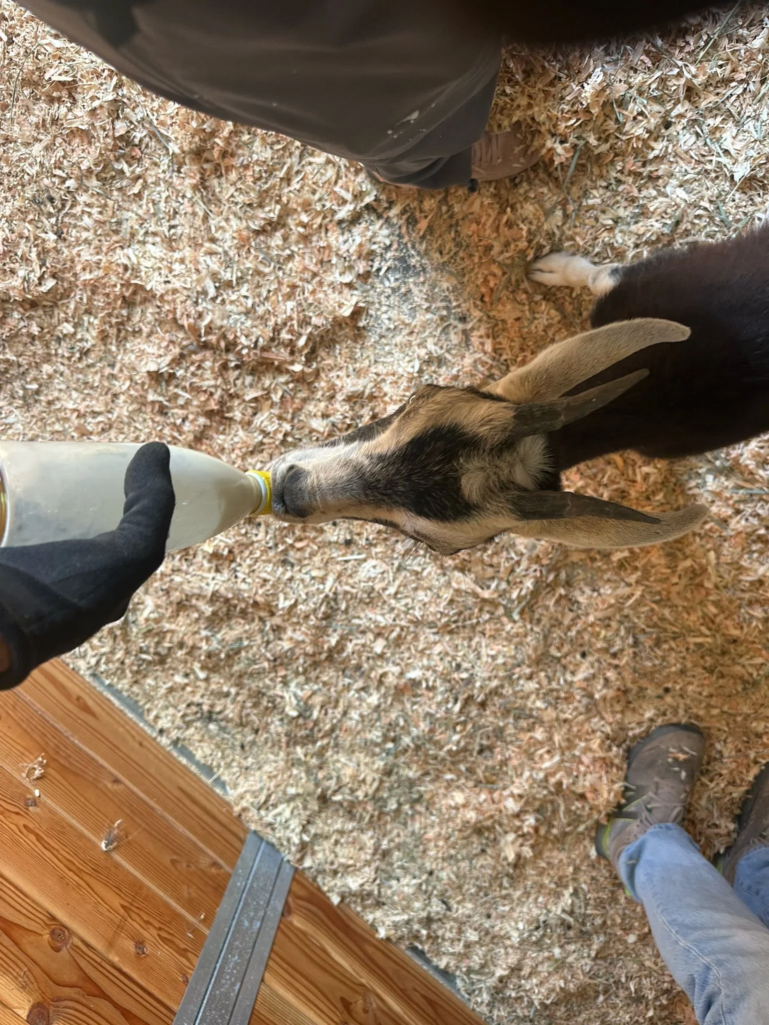 WhatsApp Image 2025-06-26 at 6.56.23 PM.jpeg