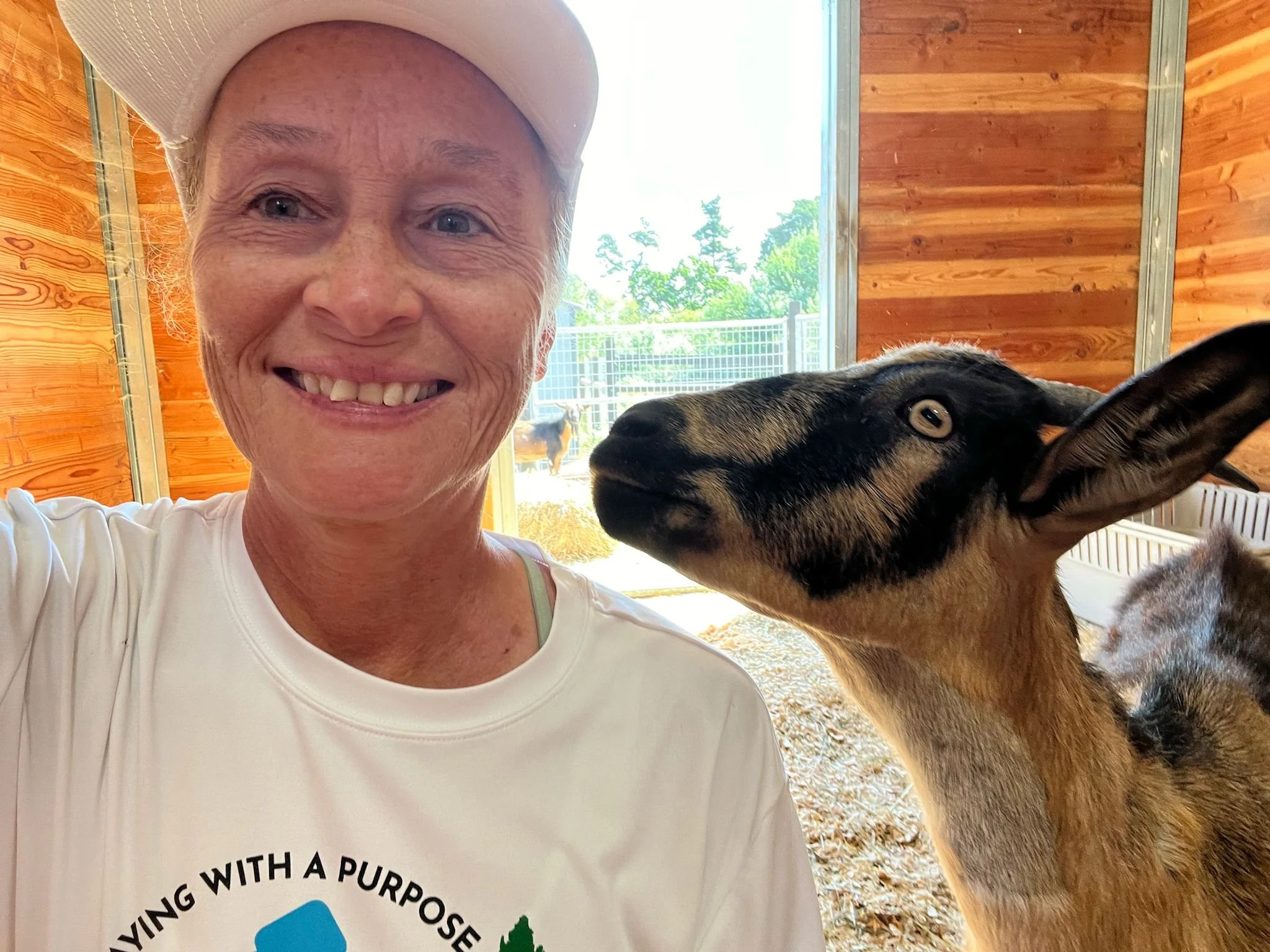 Volunteering at Goatlandia Farm Animal Sanctuary