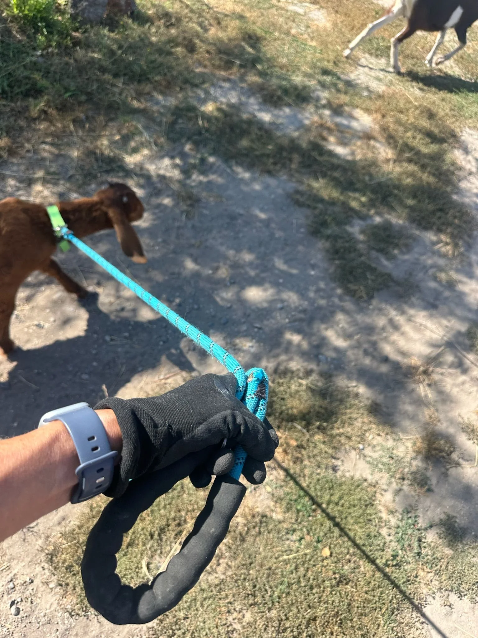 WhatsApp Image 2025-06-26 at 6.56.24 PM.jpeg