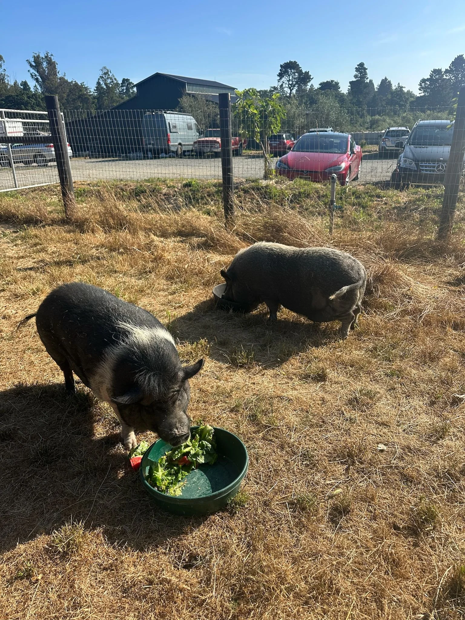 WhatsApp Image 2025-06-26 at 6.56.24 PM-6.jpeg