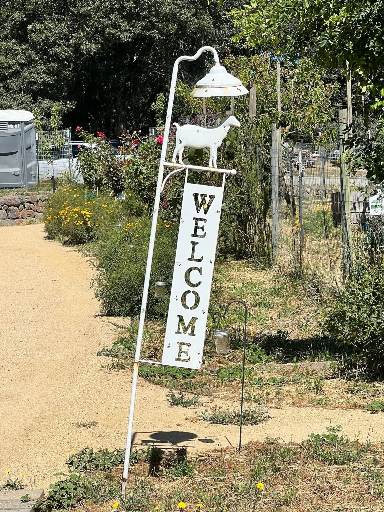 WhatsApp Image 2025-06-26 at 12.52.36 PM.jpeg