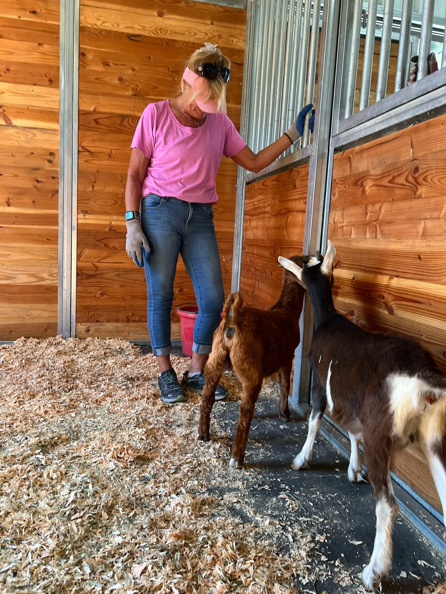 WhatsApp Image 2025-06-26 at 12.52.39 PM-2.jpeg