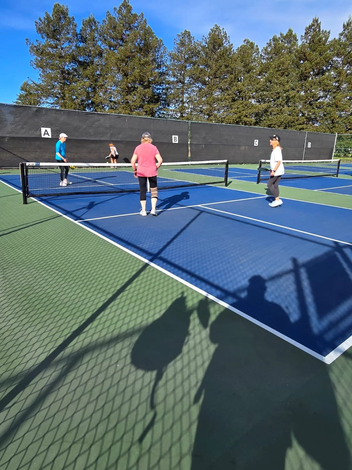 WhatsApp Image 2024-10-10 at 6.49.52 AM.jpeg