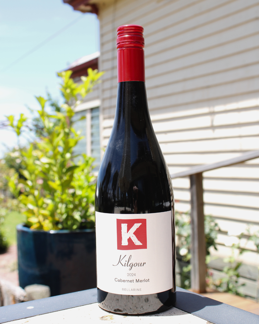 2024 Cab Merlot.png