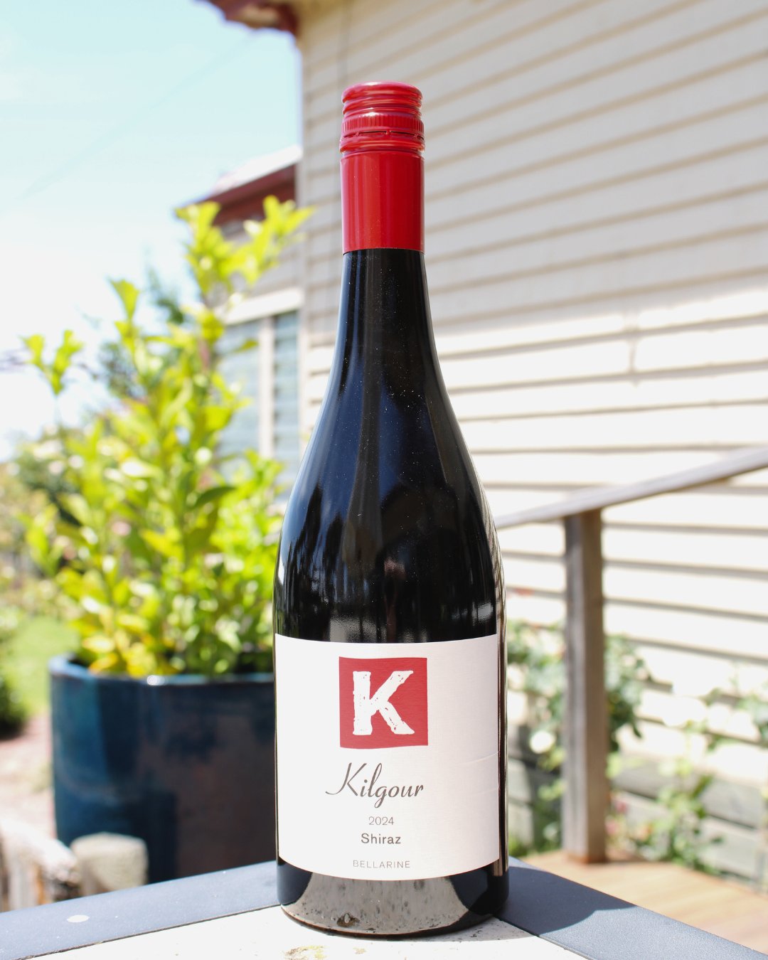 2024 Shiraz.png