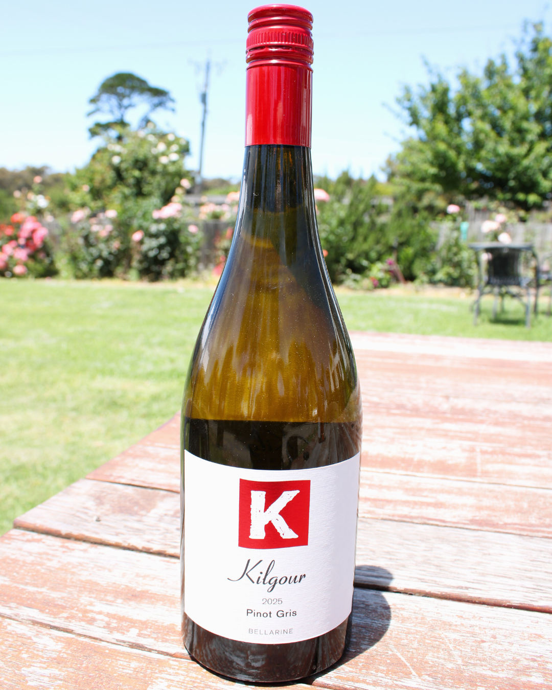 2025 Pinot Gris.png